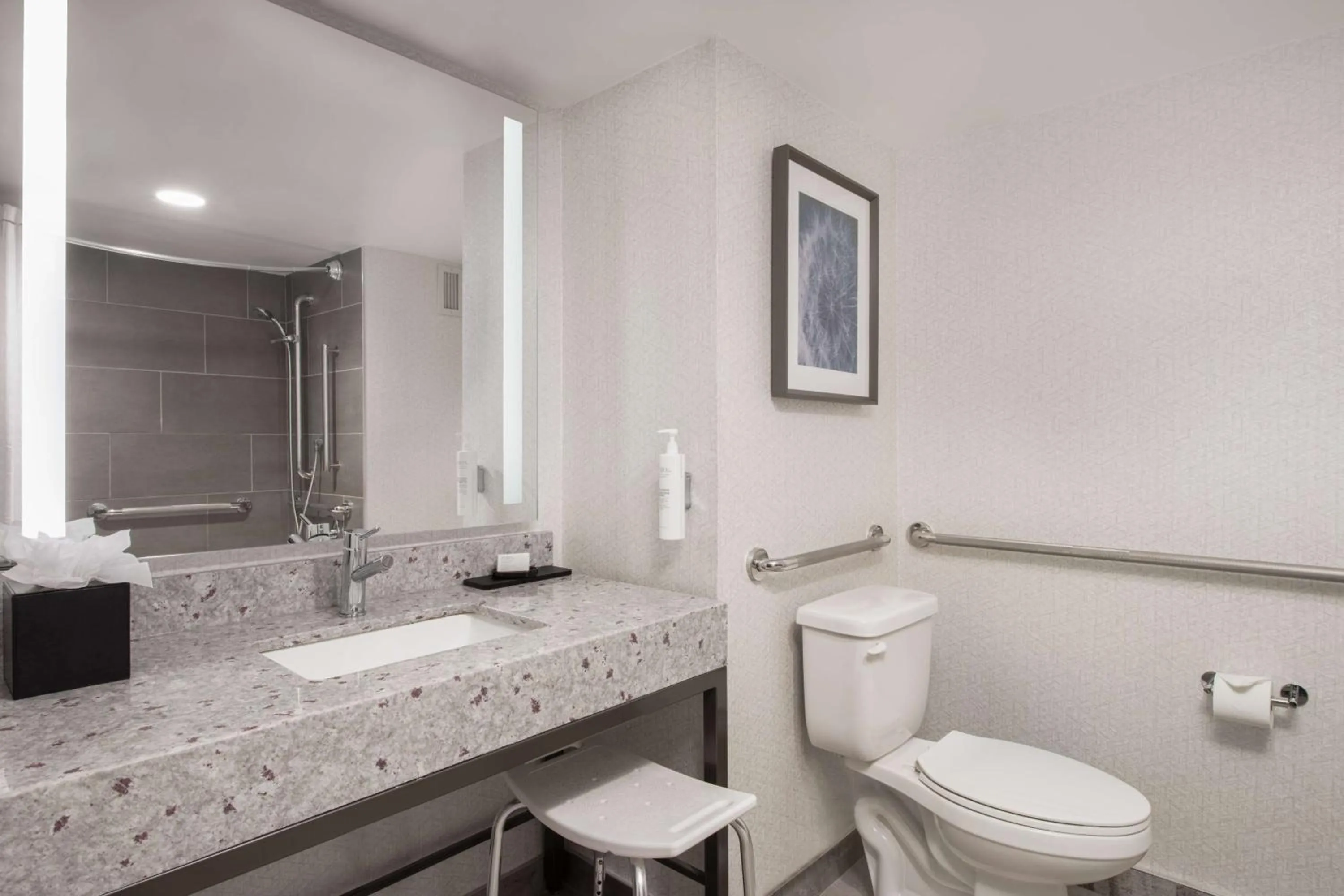 One-Bedroom King Suite with Roll-in Shower - Mobility Accessible in Embassy Suites by Hilton Minneapolis Airport