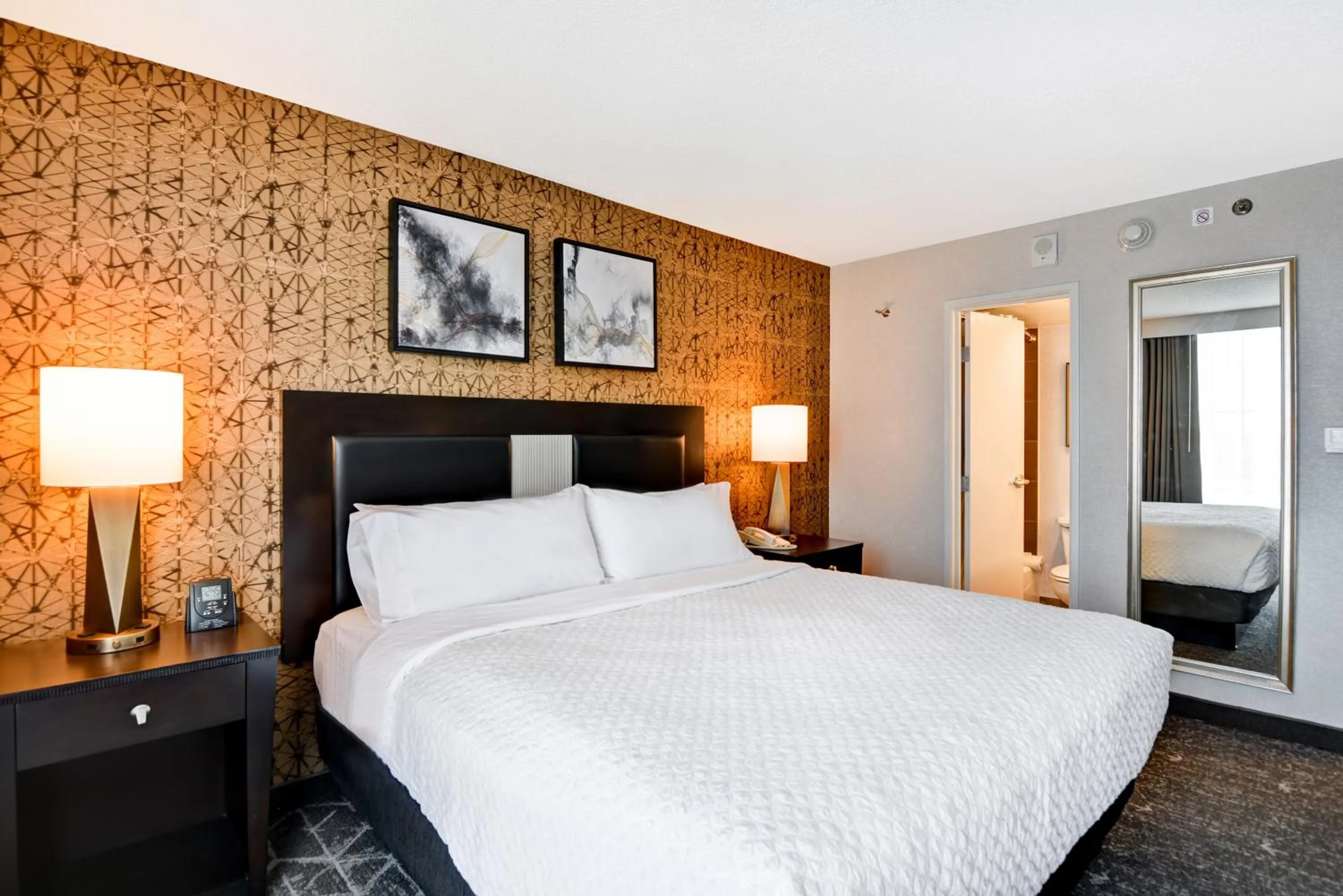 Premium King Suite w/ Sofa Sleeper, 1 Bedroom in Embassy Suites by Hilton Minneapolis Airport