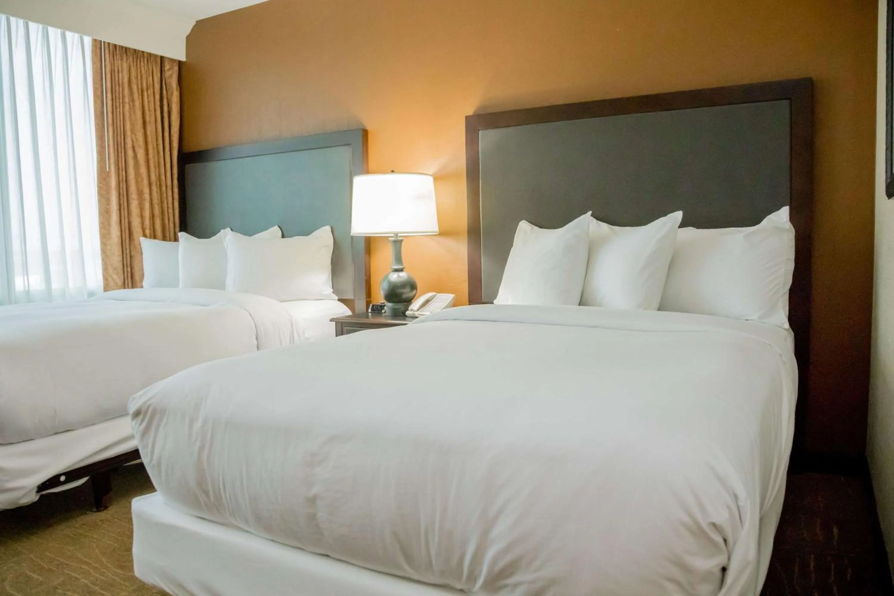 One-Bedroom Suite - Mobility Access/Bath Tub in Embassy Suites by Hilton Lexington Green