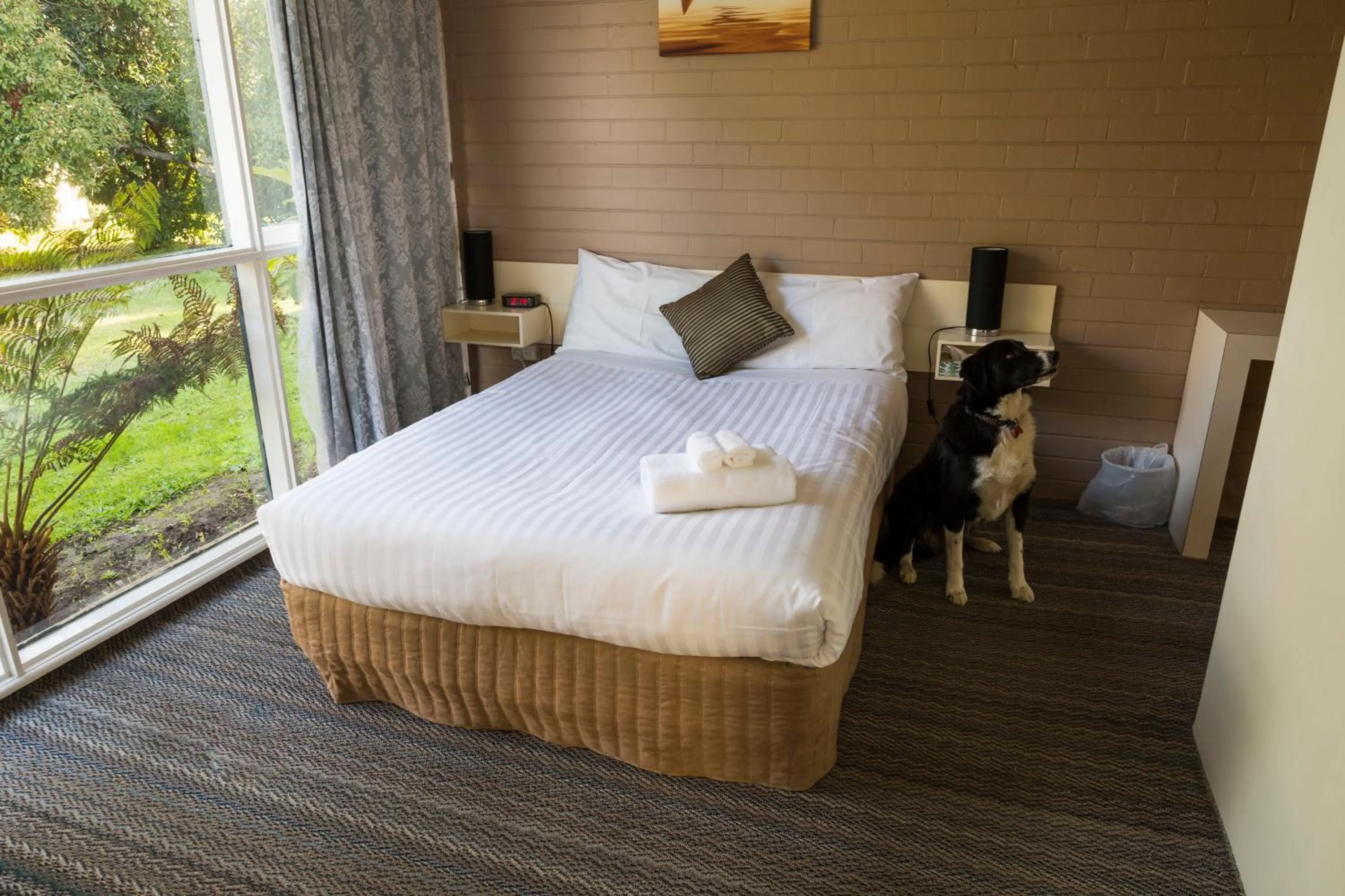 Budget Family Room - single occupancy in Motel Traralgon