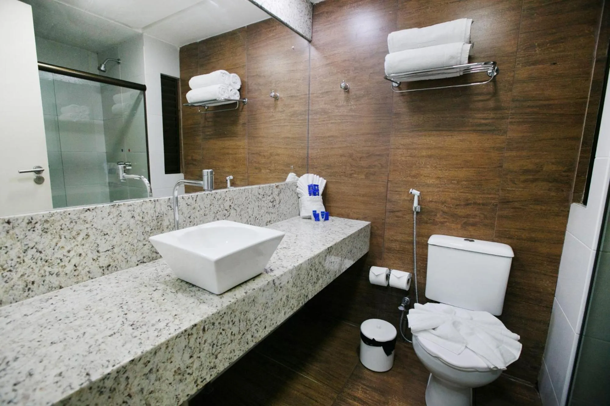 Deluxe Suite - single occupancy in Hotel Canarius de Gravatá