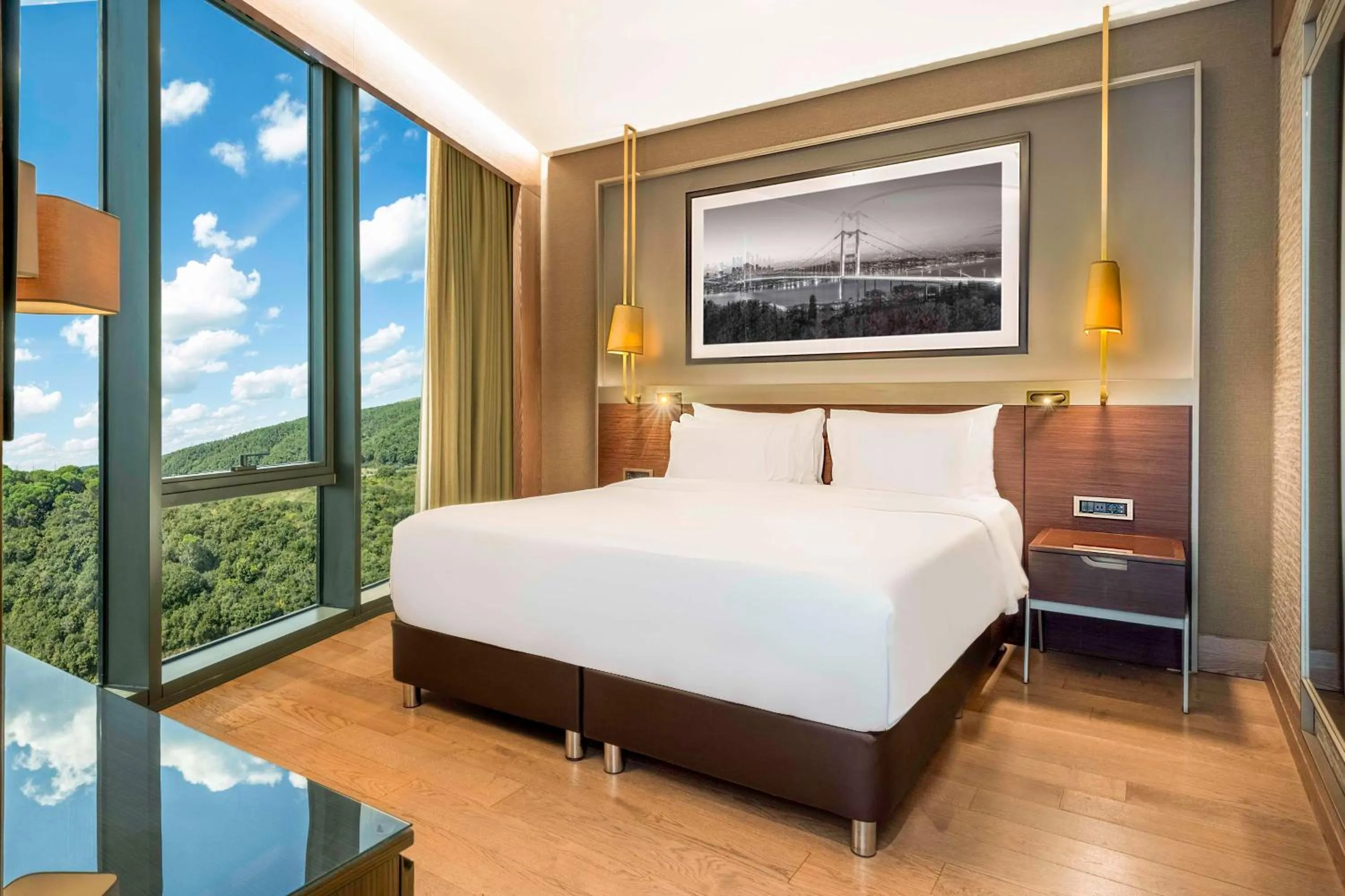 Collection Superior with City and Forest View in Radisson Collection Hotel, Vadistanbul