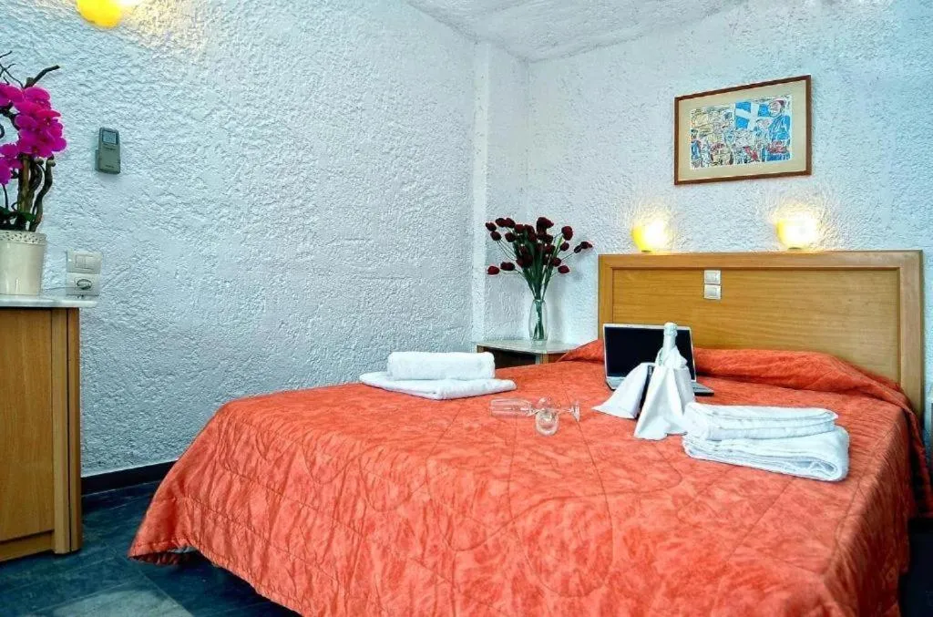 Standard Room with Garden View in Karteros Hotel