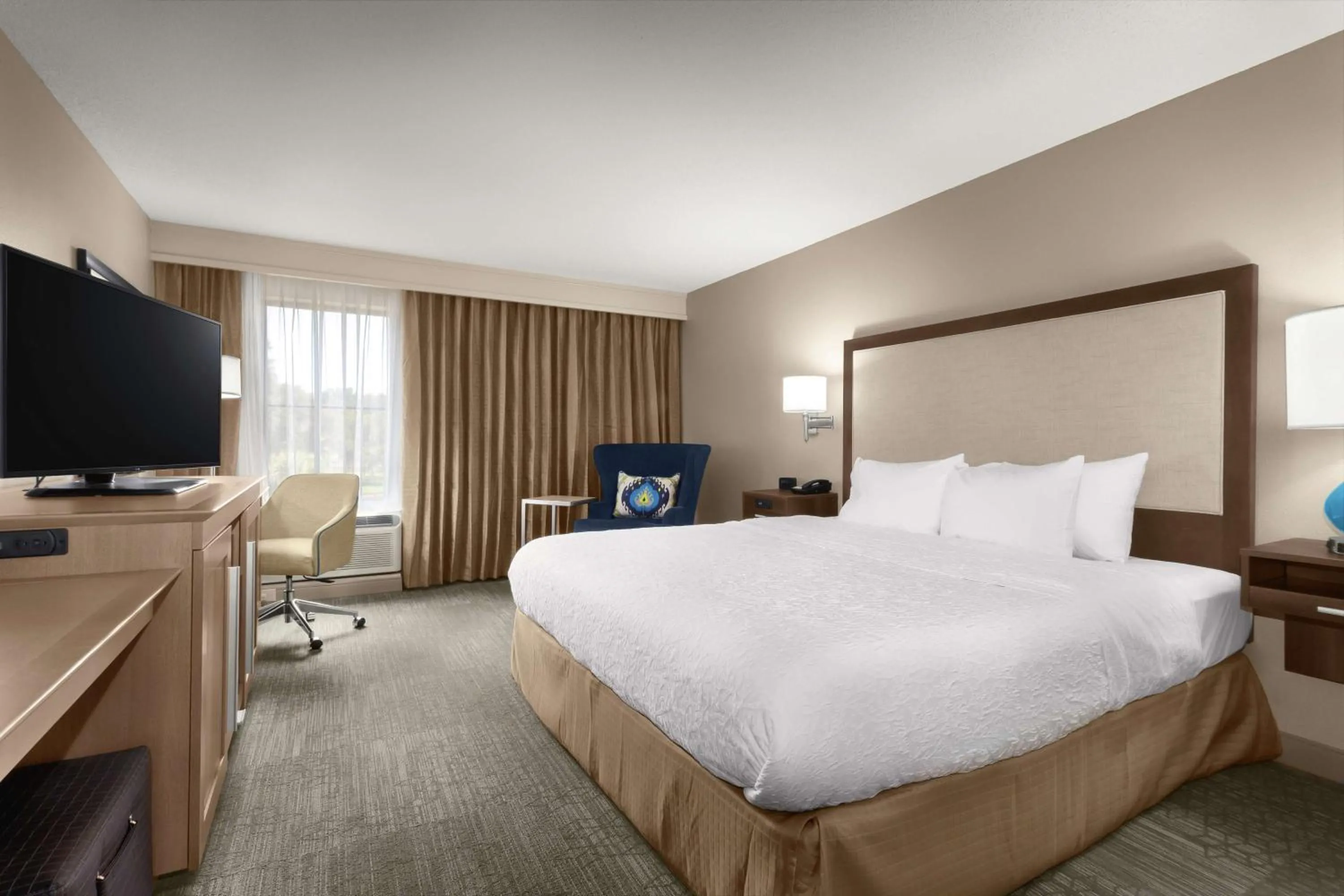 King Room with Accessible Tub - Mobility and Hearing Access/Non-Smoking in Hampton Inn Georgetown-Marina