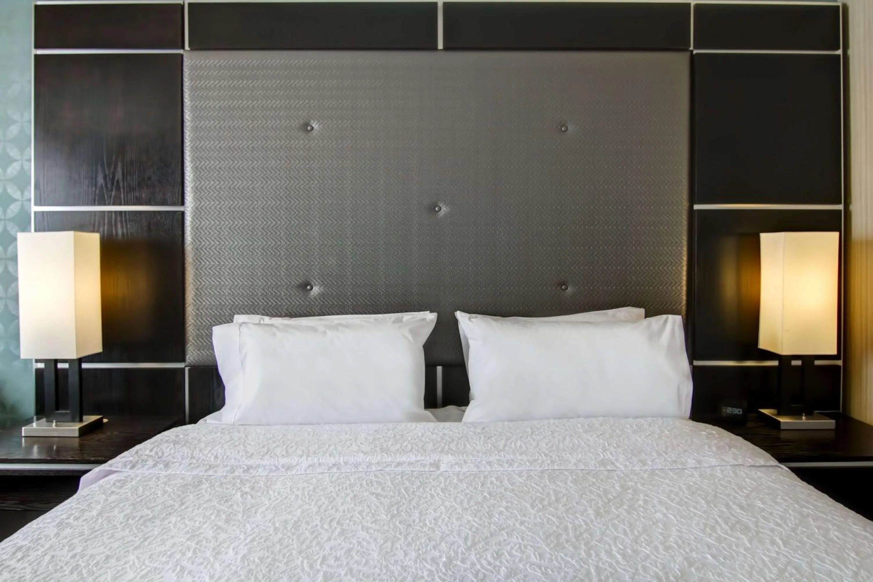 Deluxe King Room with Whirpool - Non-Smoking in Hampton Inn & Suites by Hilton Calgary-Airport