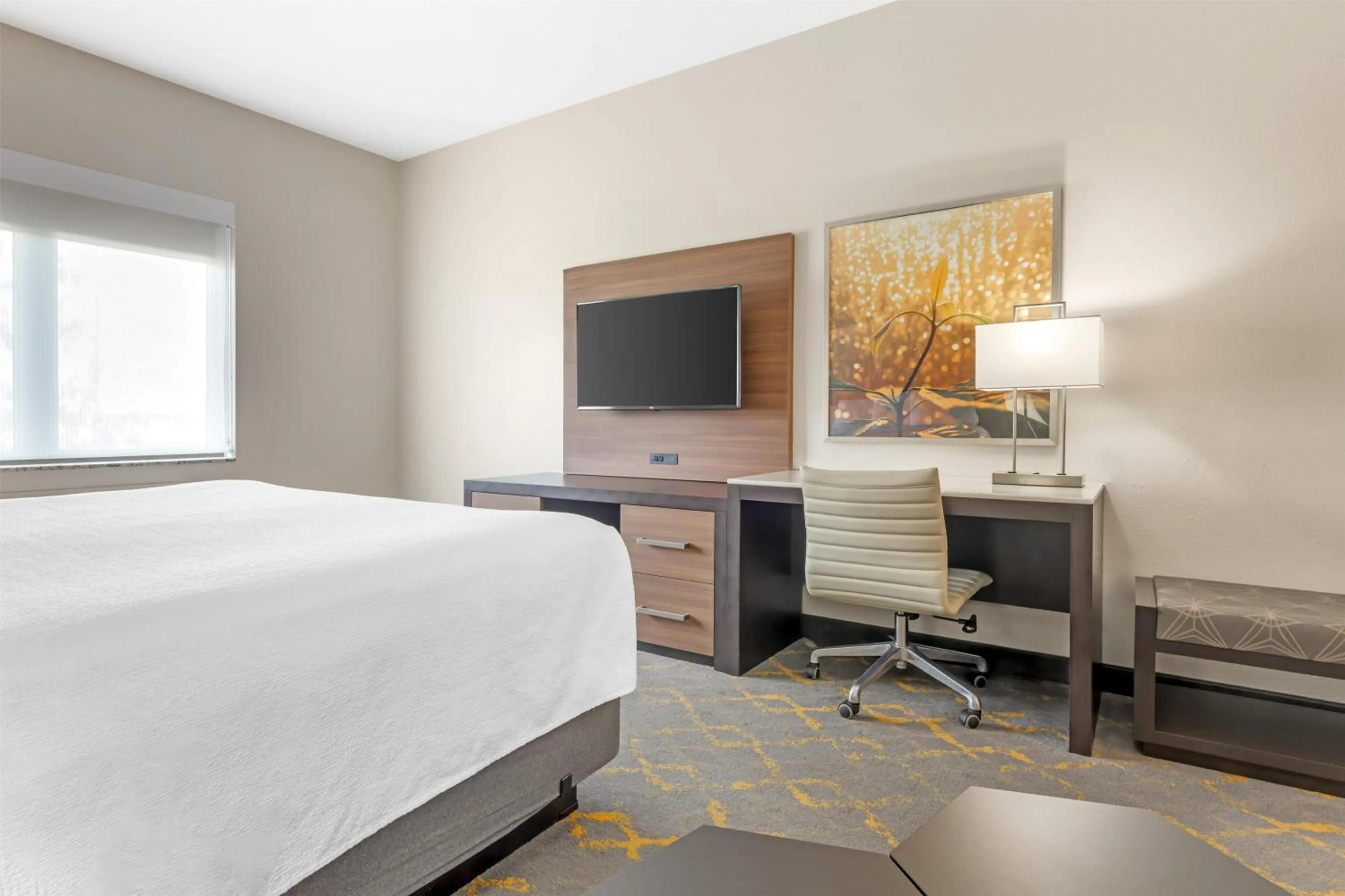 King Room with Communication Assistance in Best Western Plus Isanti