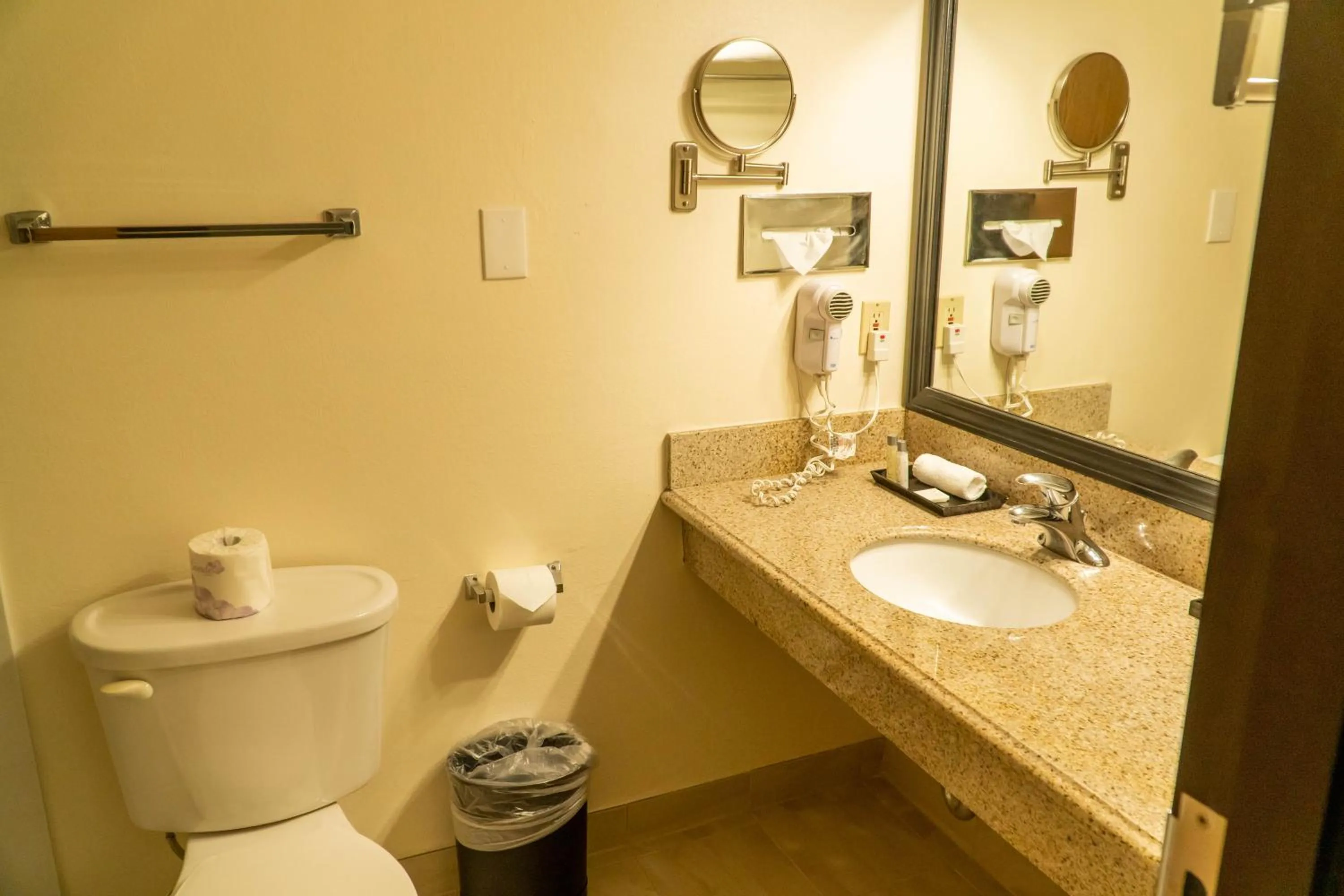 Superior King Room in Hotel Piccadilly