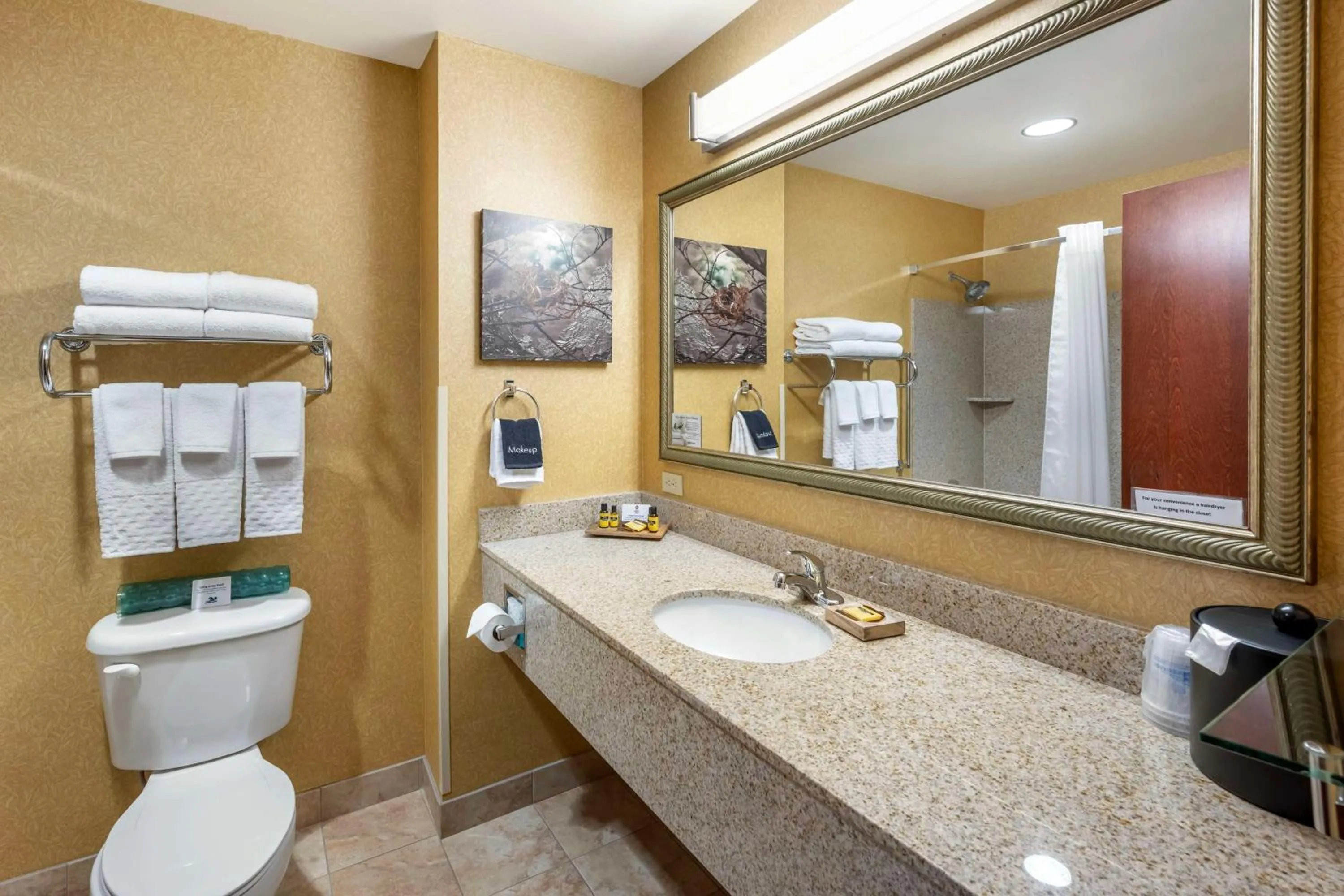 King Room - Disability Access in Best Western Plus Ponderay Mountain Lodge Sandpoint