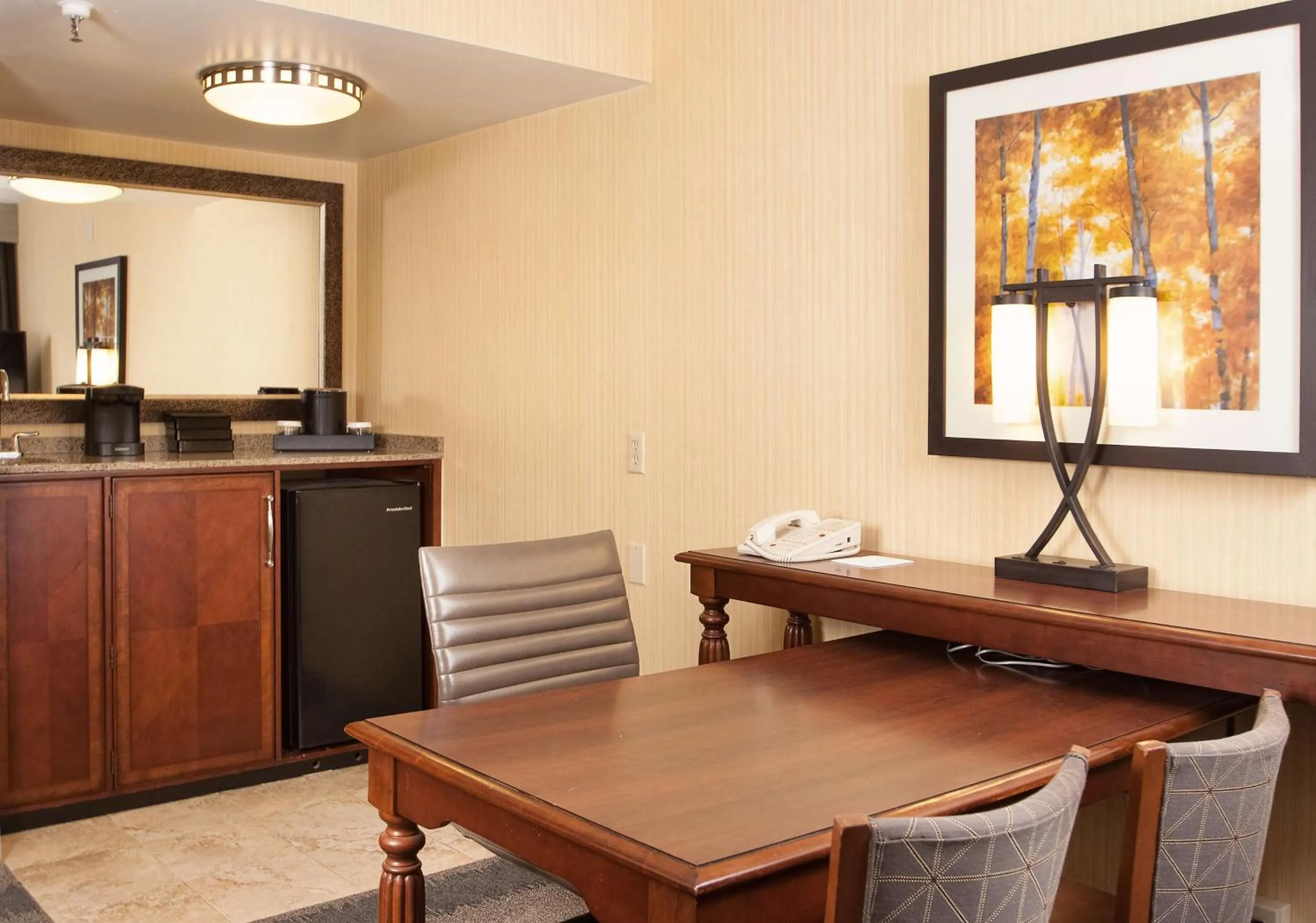 Two-Room King Suite - Non-Smoking in Embassy Suites by Hilton Bloomington/Minneapolis