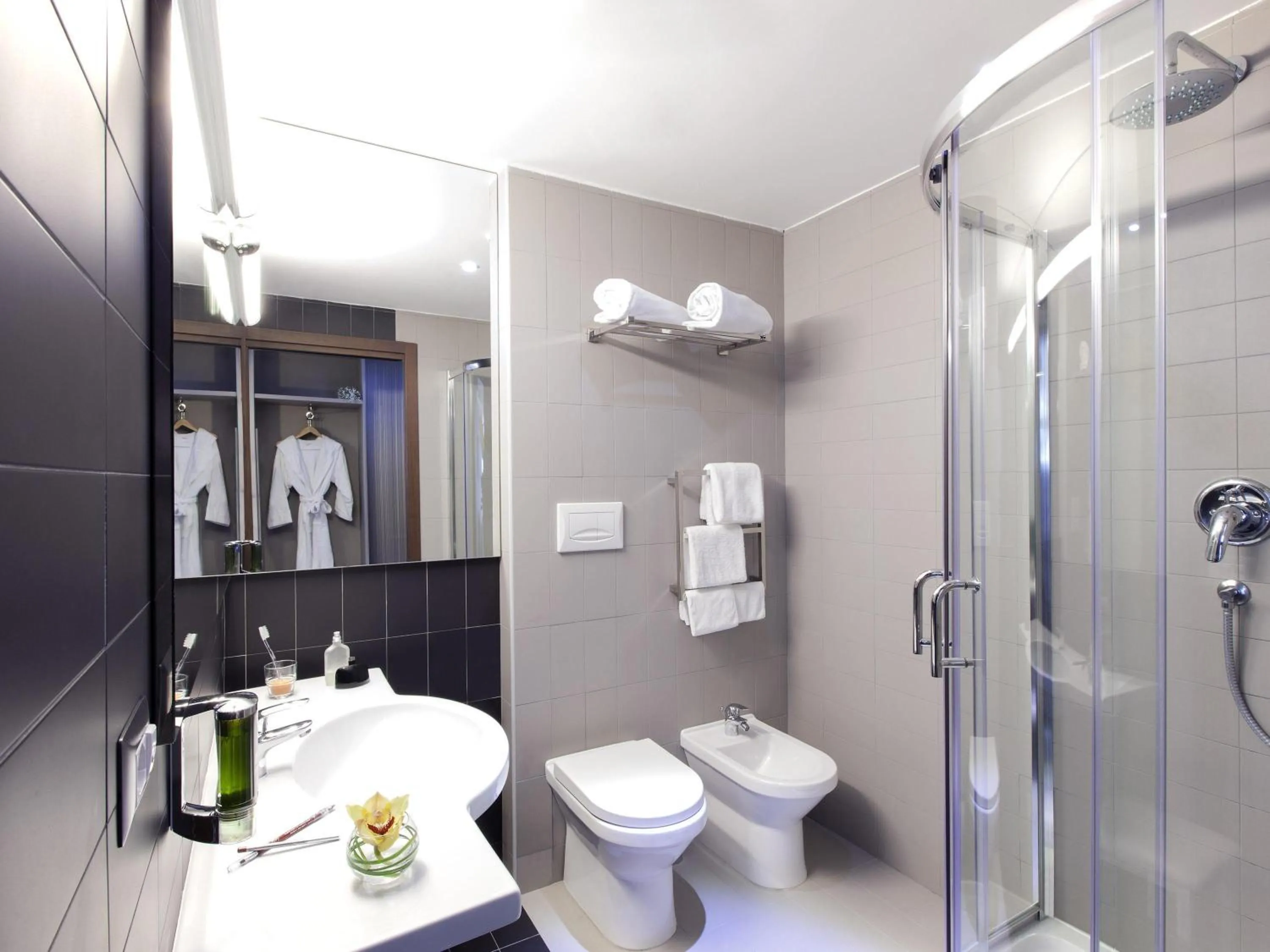 Superior Double Room with Balcony in Ibis Styles Roma Eur