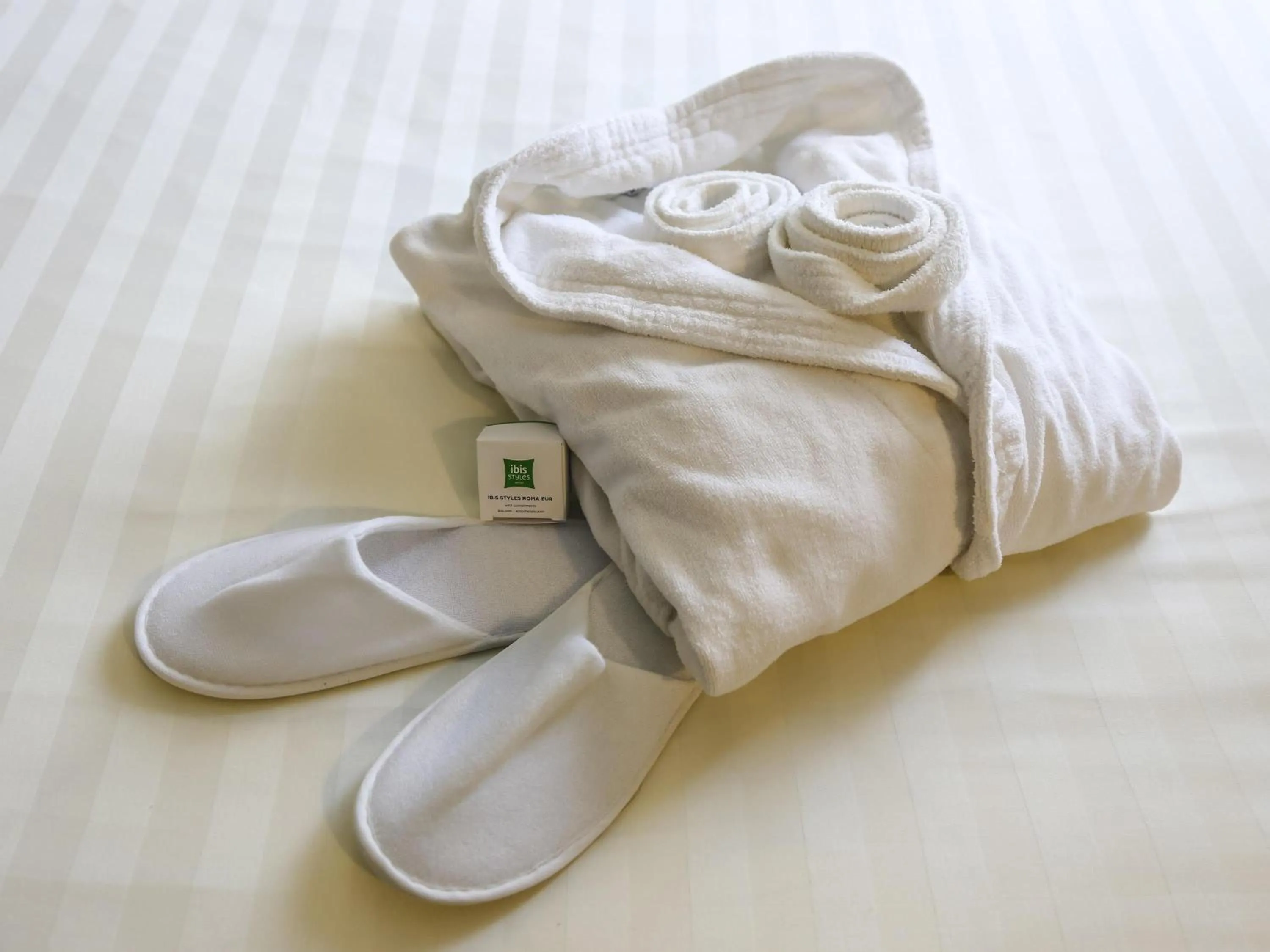 Superior Twin Room with Balcony in Ibis Styles Roma Eur