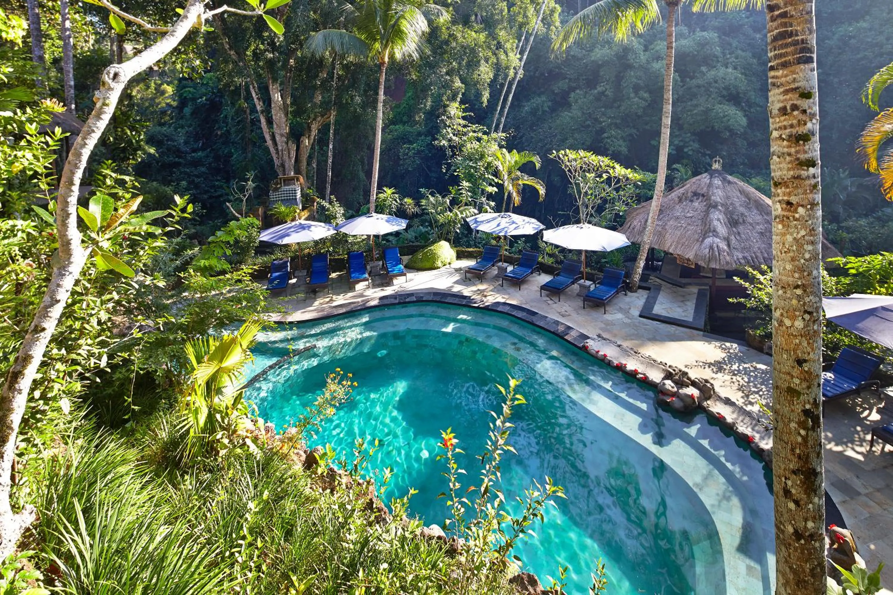 Superior Double or Twin Room with Valley View and Lunch ( Two Courses)  in Hotel Tjampuhan Spa