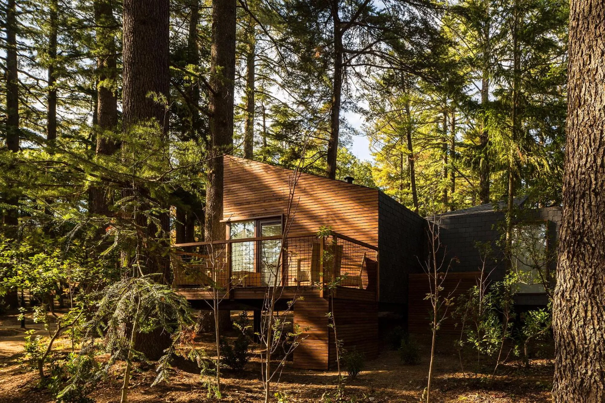 Privilege Bungalow in Pedras Salgadas Spa & Nature Park