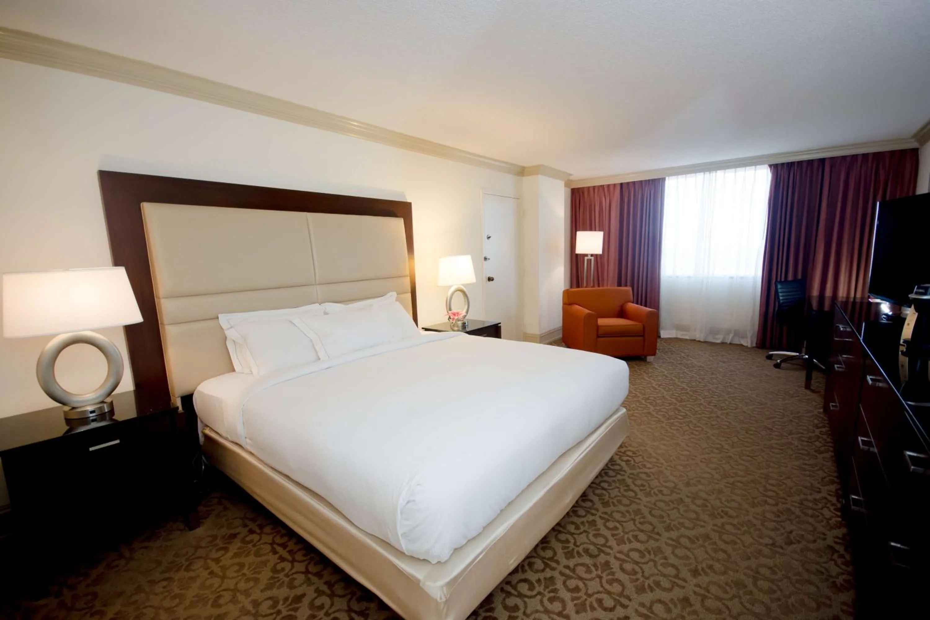 King Room with Accessible Tub - Mobility Access in Hilton Palm Beach PBI