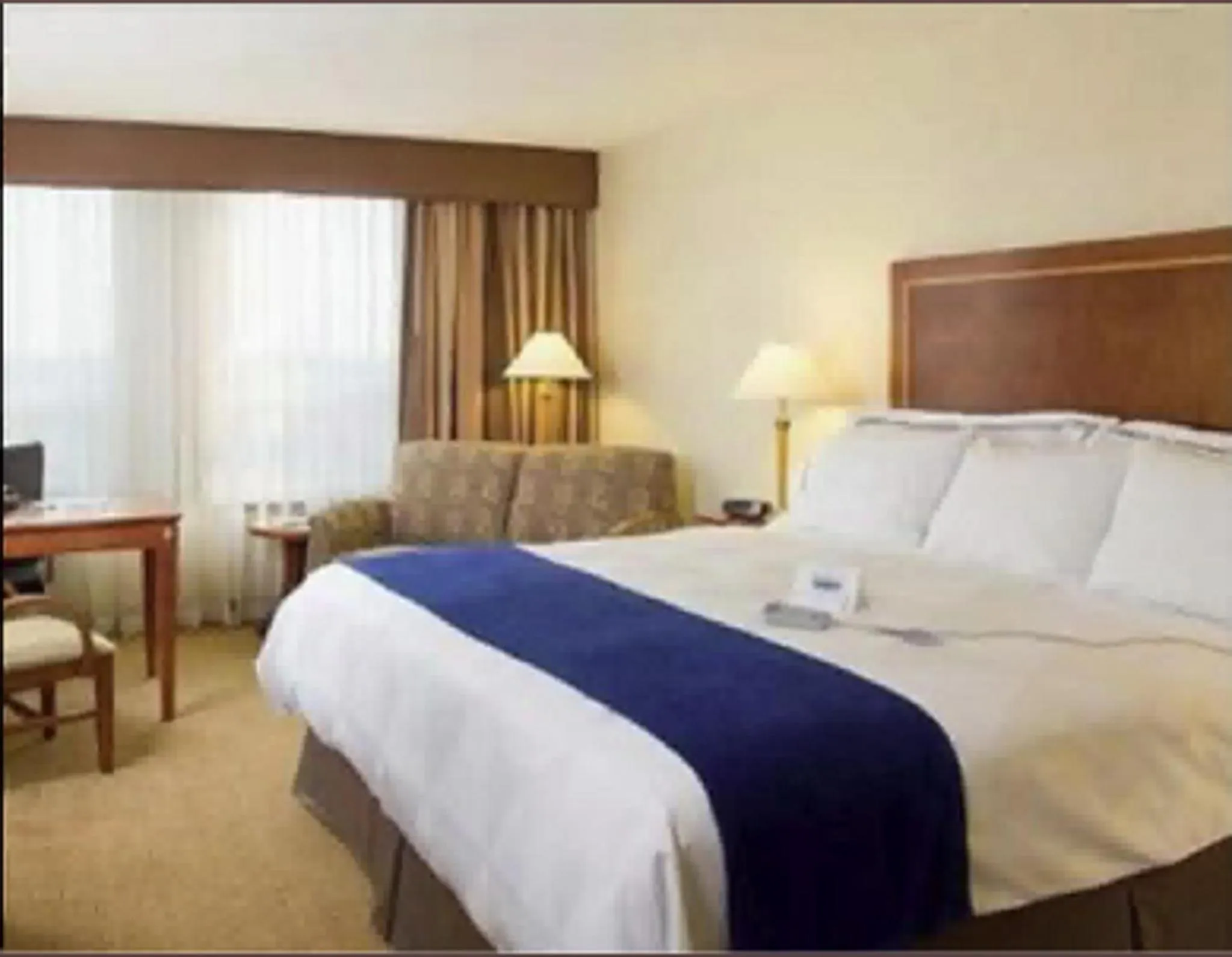 Premier King Room in Hotel Executive Suites
