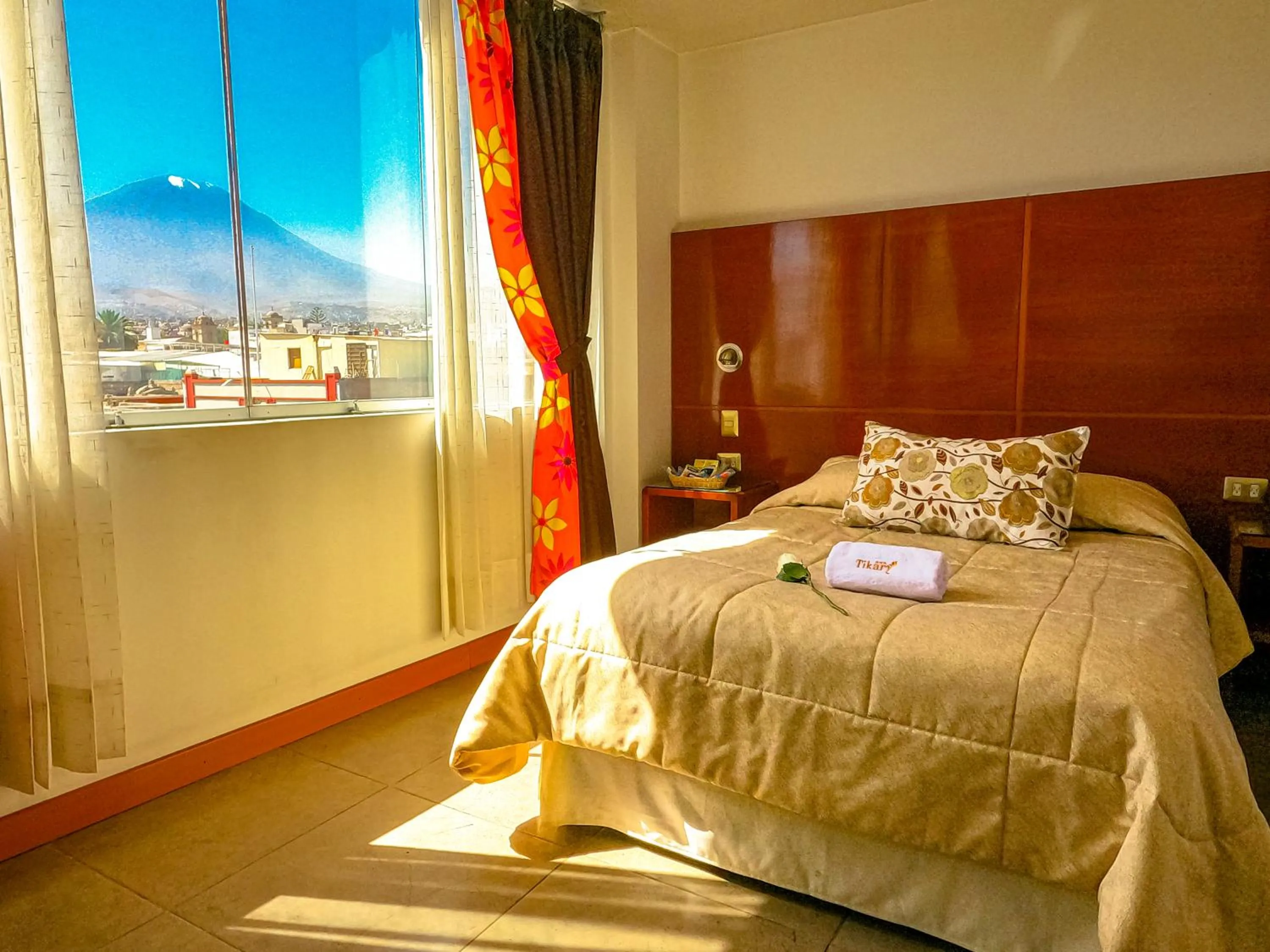 Double Room in Hotel Tikary
