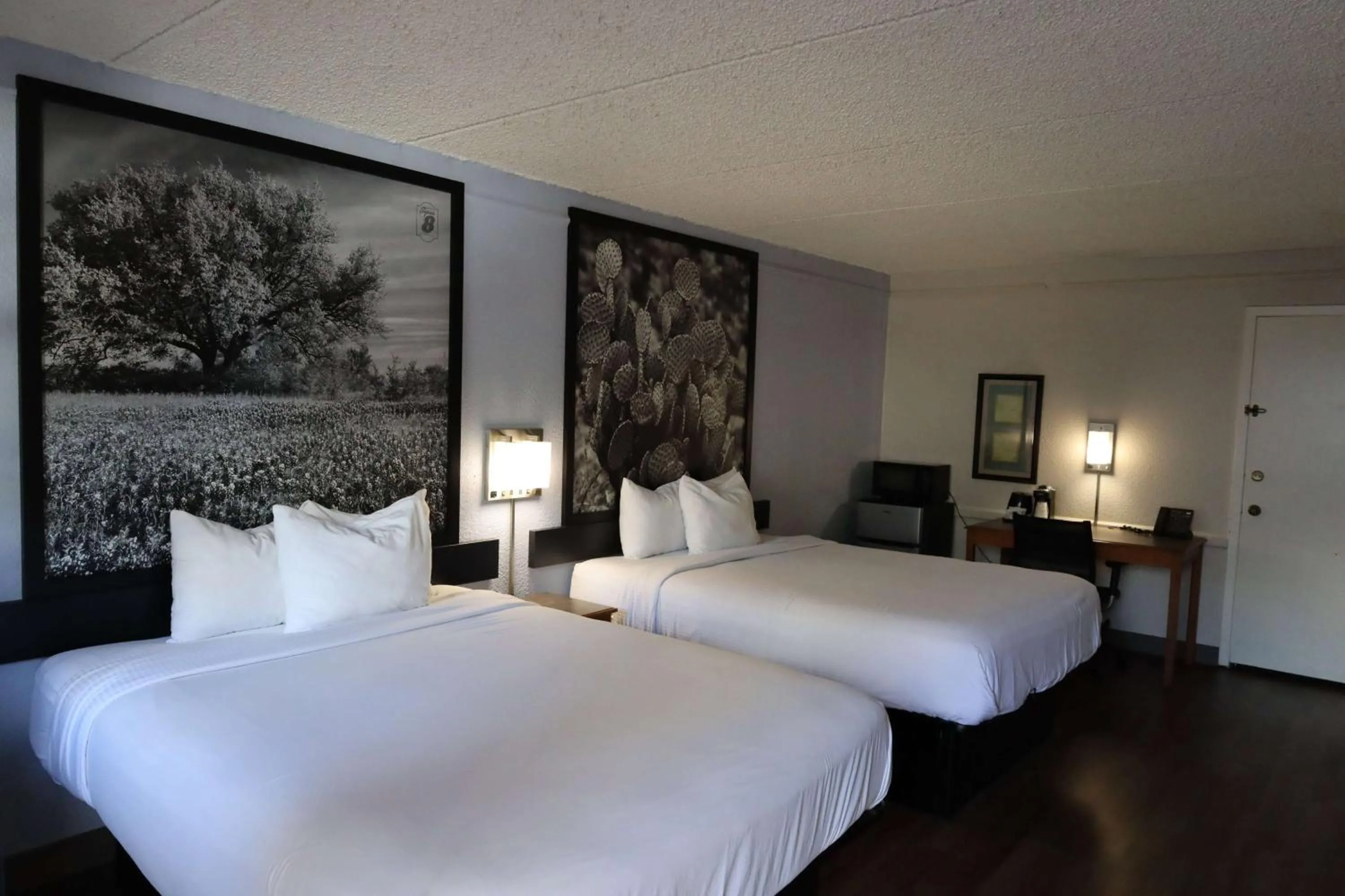 Queen Room with Two Queen Beds - Non-Smoking in Super 8 by Wyndham Austin South I-35