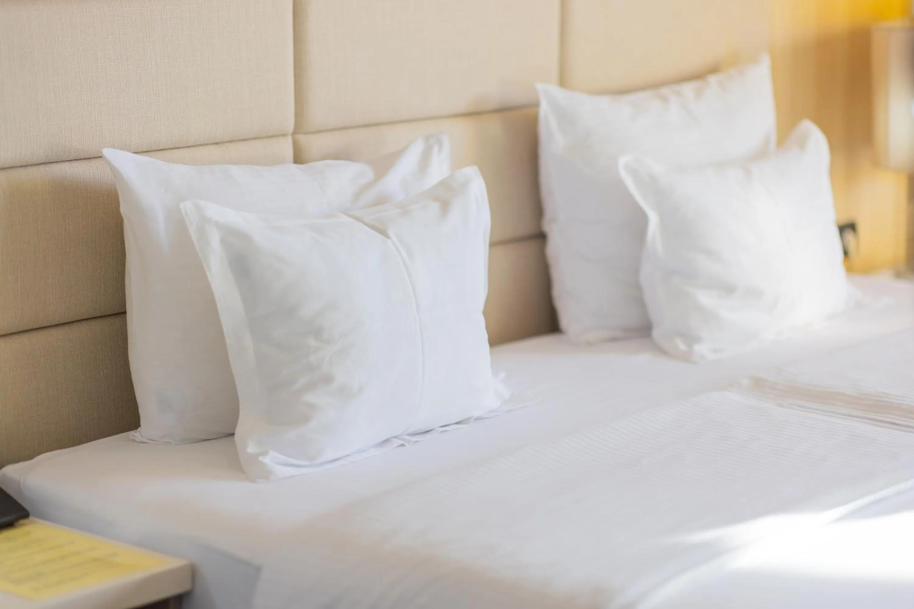 Basic Triple Room in Hotel Holiday