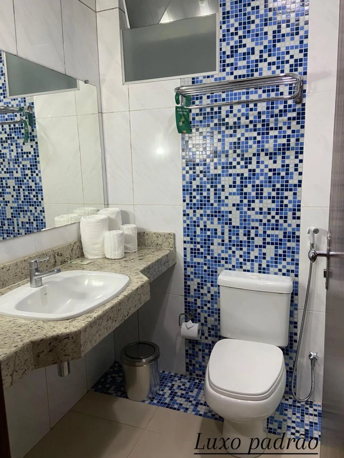 Double or Twin Room in Vale dos Carajás Hotel