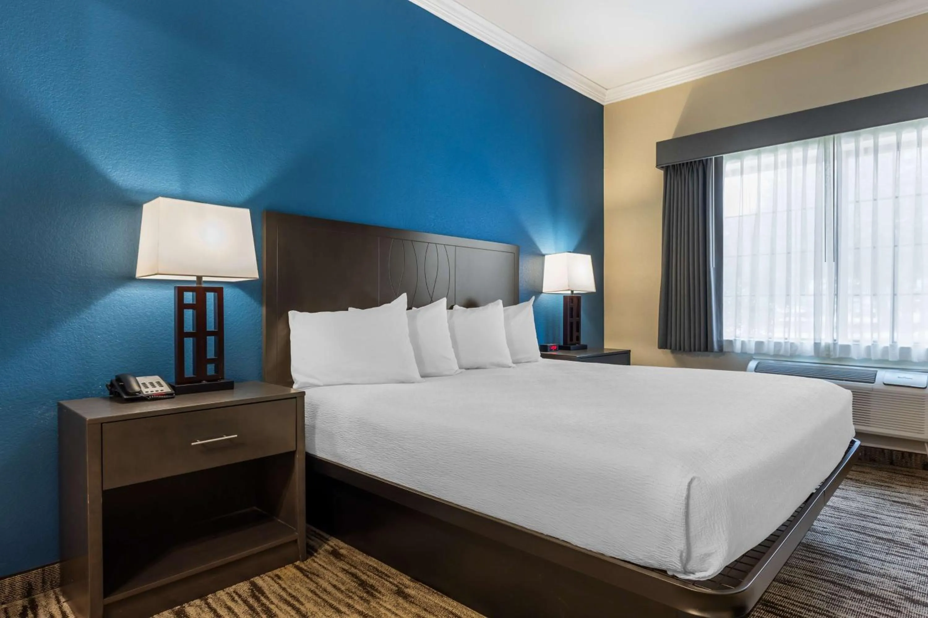 King Suite with Bath Tub - Mobility Accessible in Best Western Dinosaur Valley Inn & Suites