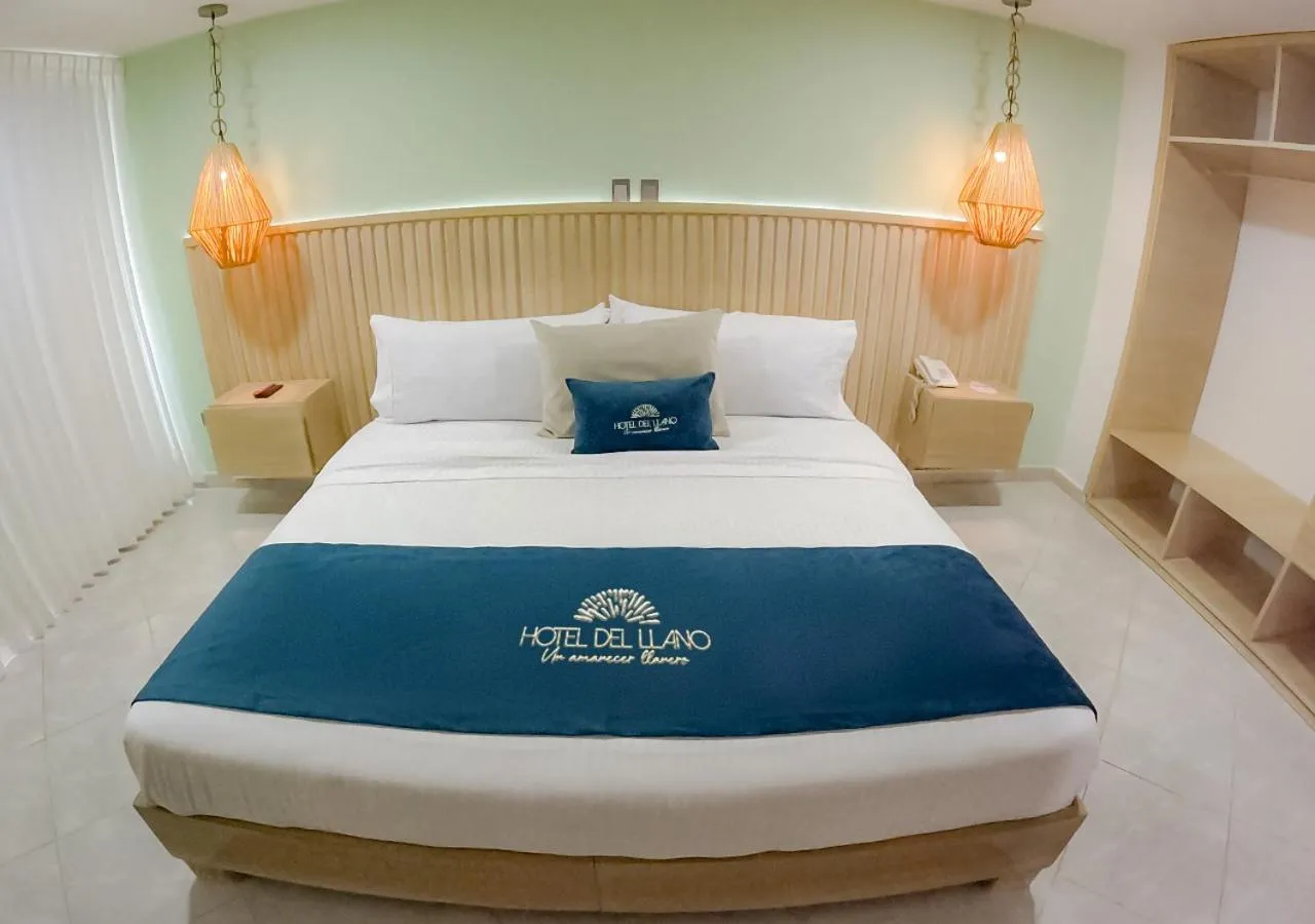 Deluxe Double Room in Hotel del Llano