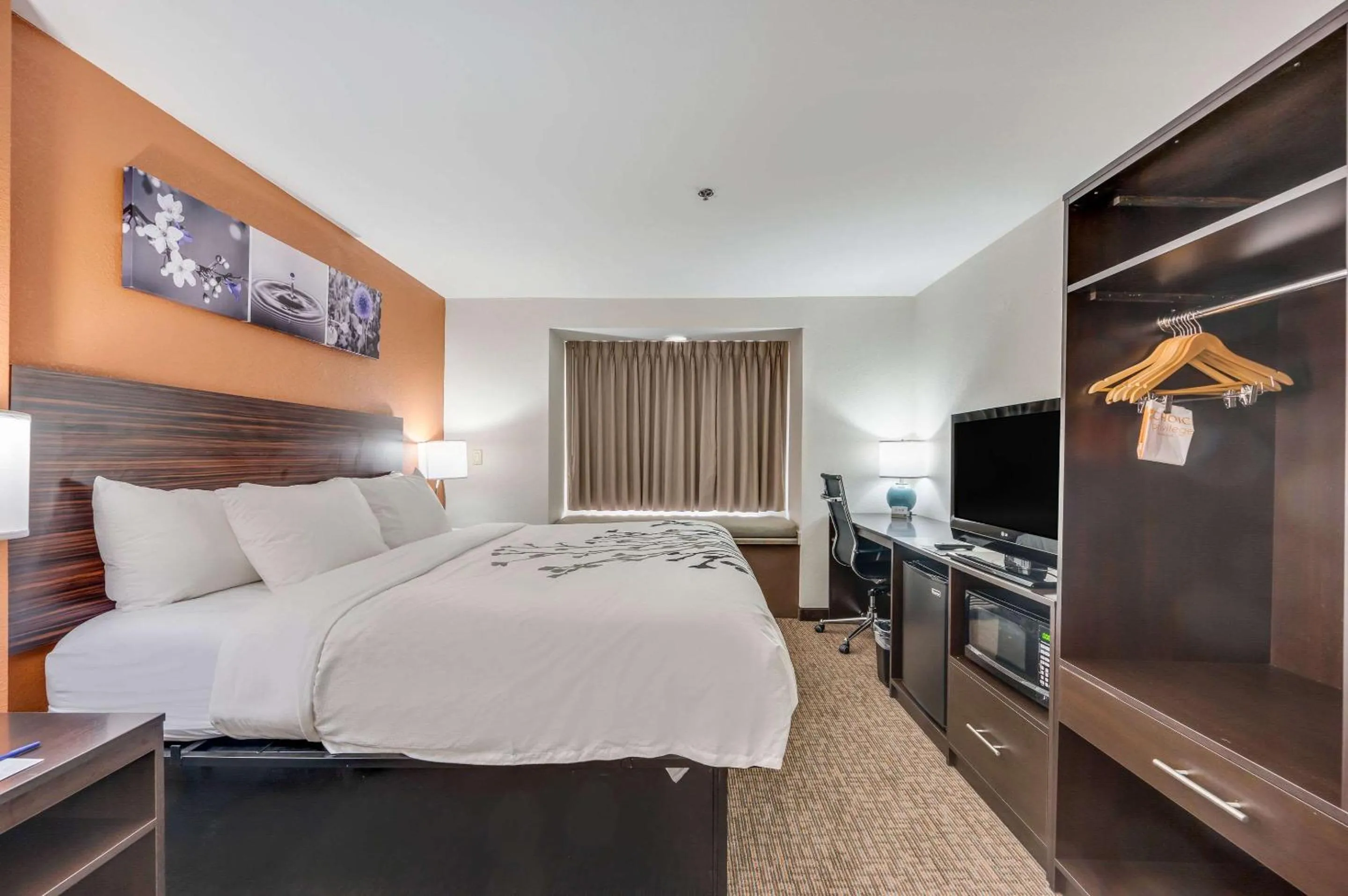 King Suite - Accessible/Non-Smoking in Sleep Inn & Suites Decatur West