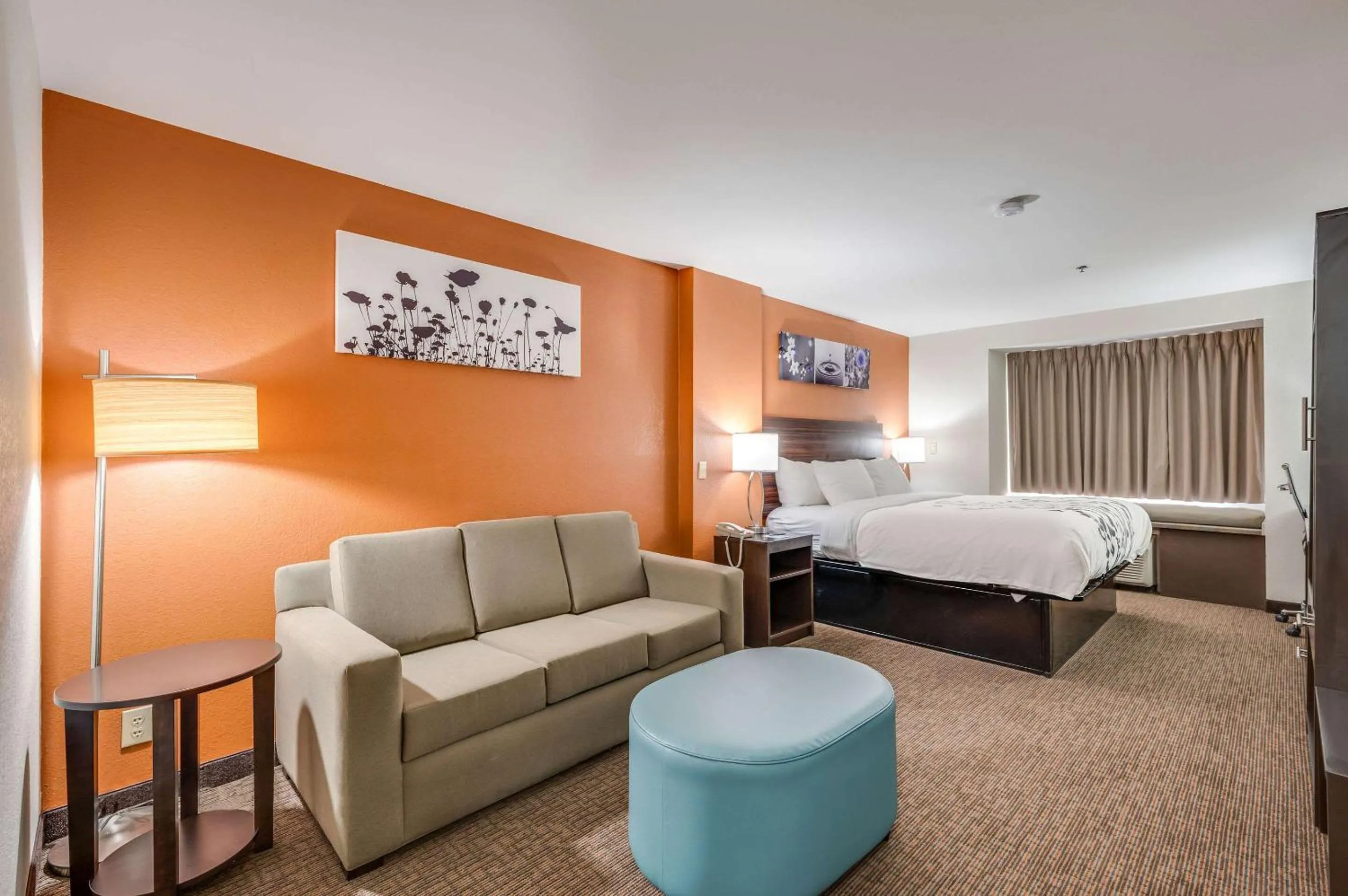 King Suite - Non-Smoking in Sleep Inn & Suites Decatur West