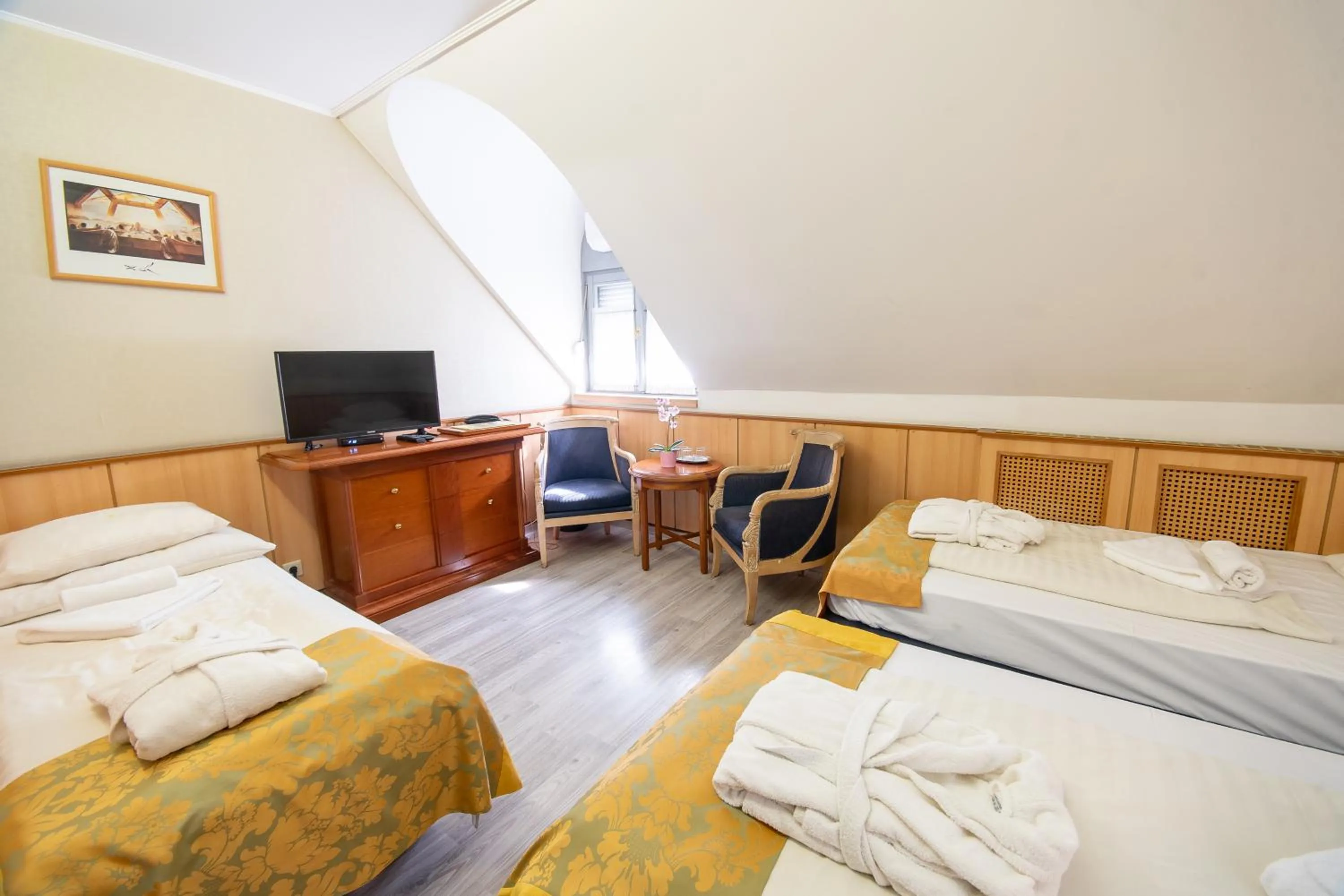 Triple Room with Bath - single occupancy in Nyerges Hotel Termál Superior