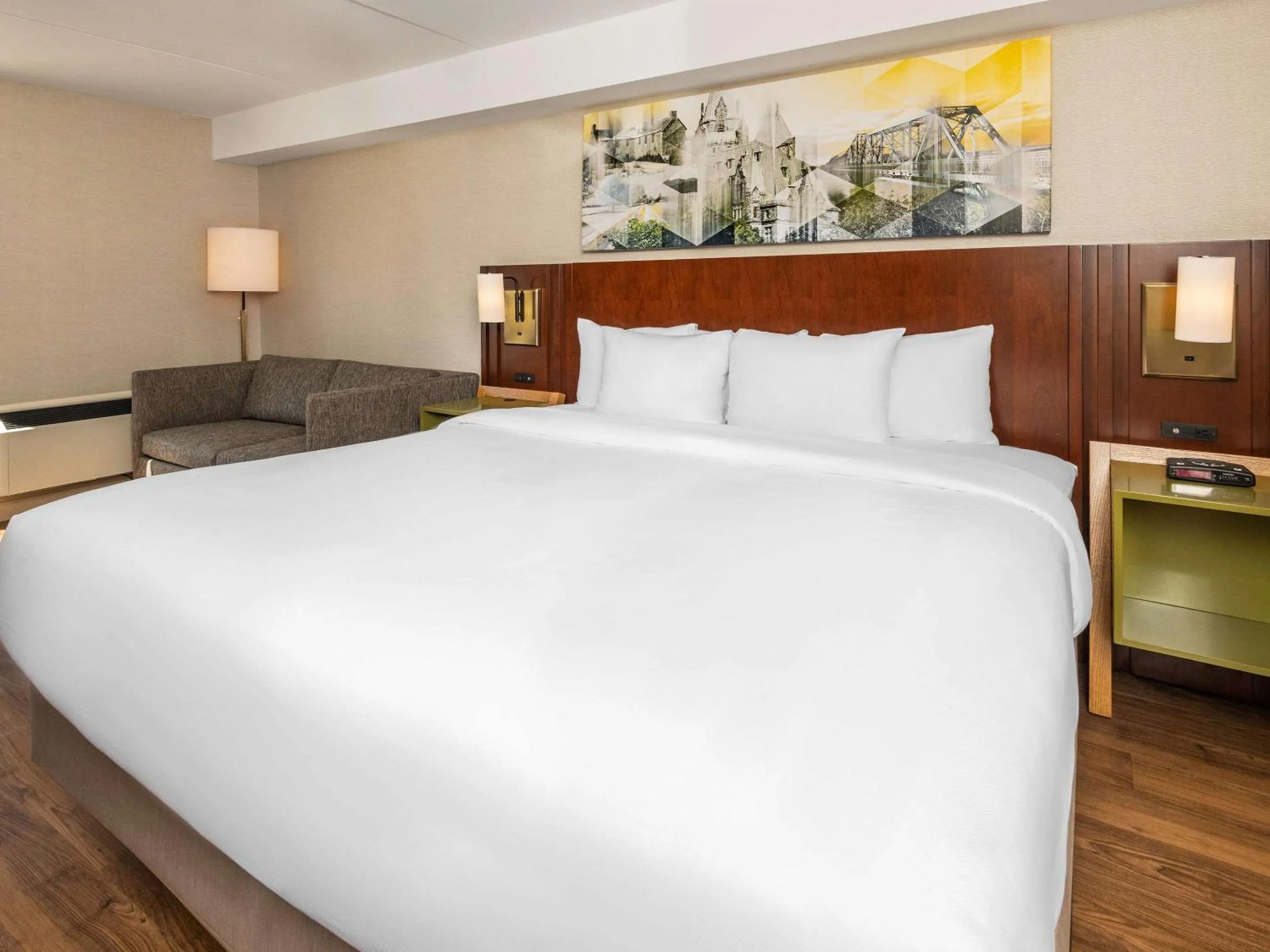 1 King Bed, Non-Smoking, Ground floor/Pet Friendly in Comfort Inn West