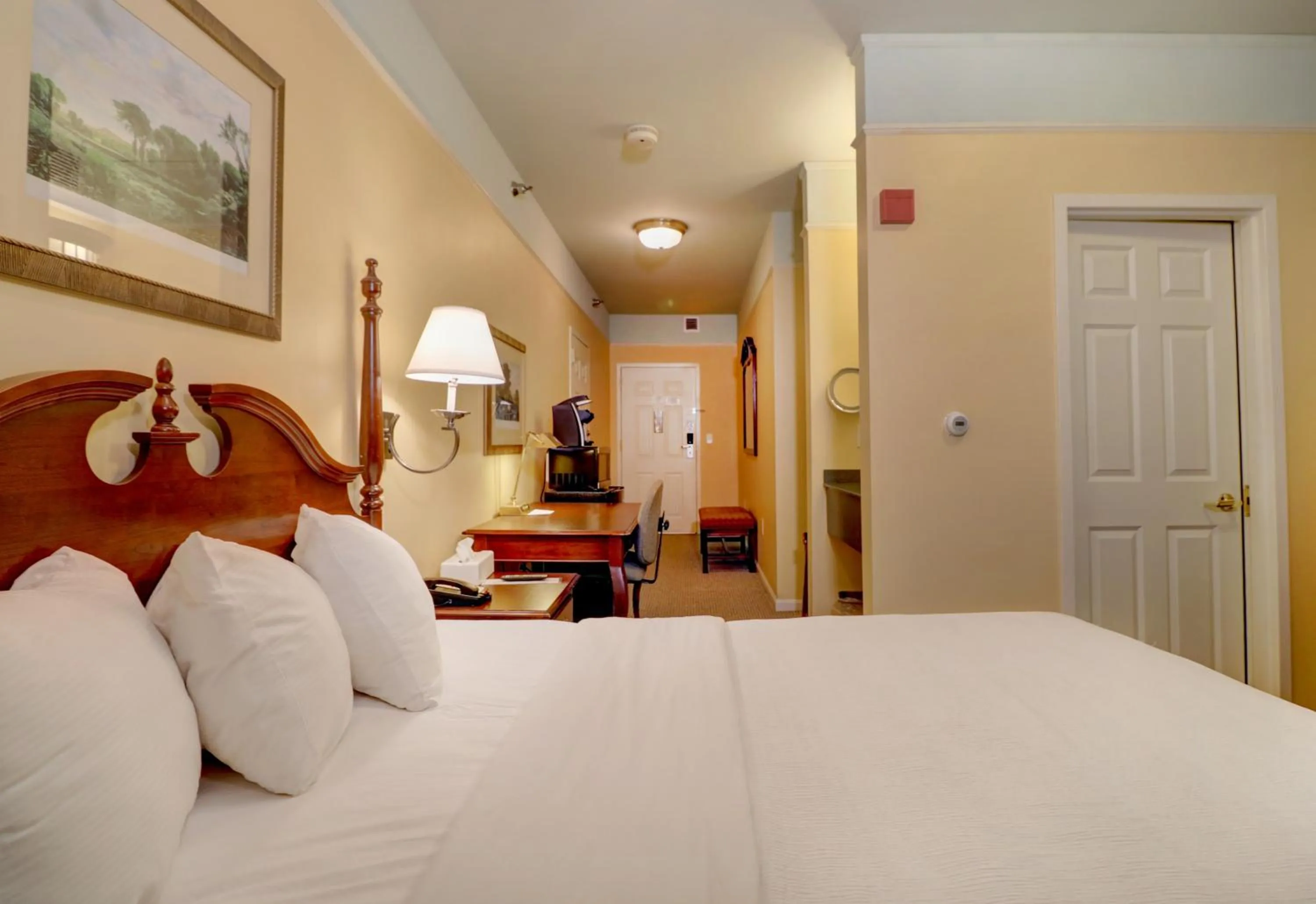 Spa 1 Queen Standard in Senator Inn & Spa