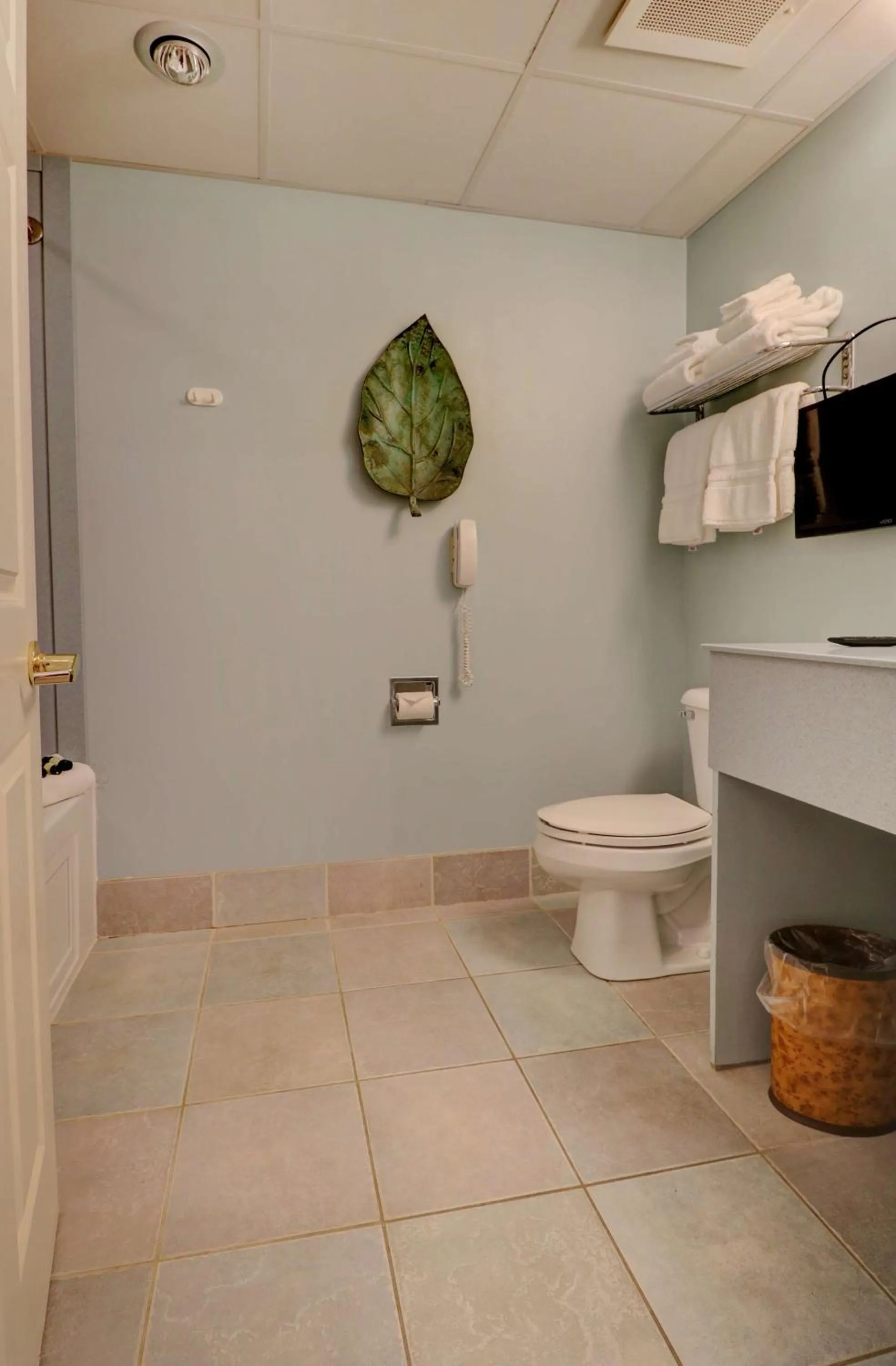 Spa Suite 1 King with Balcony in Senator Inn & Spa