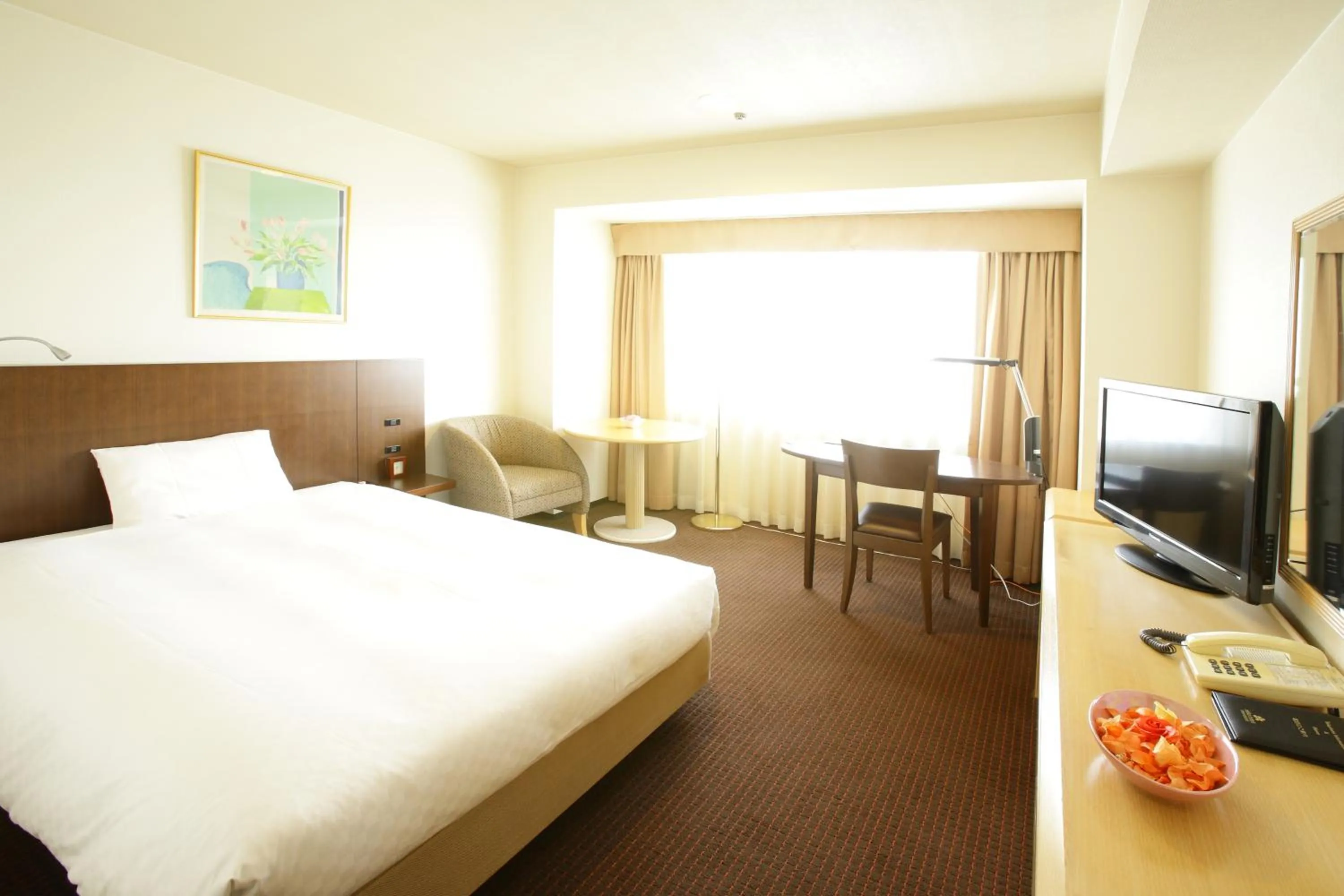 Standard Double Room - single occupancy - Smoking in Loisir Hotel Toyohashi