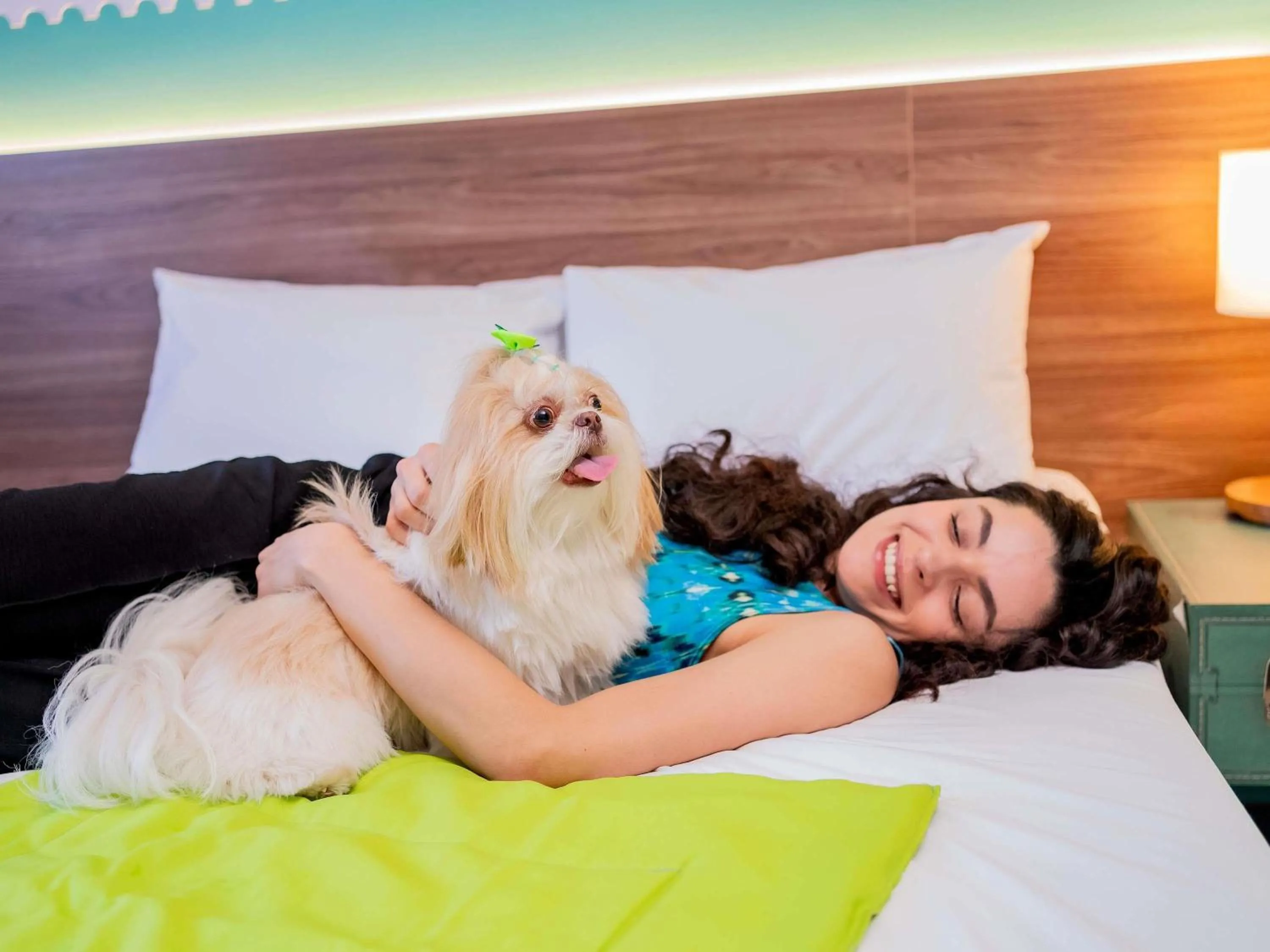 Standard Double Room in ibis Styles Sorocaba Santa Rosalia