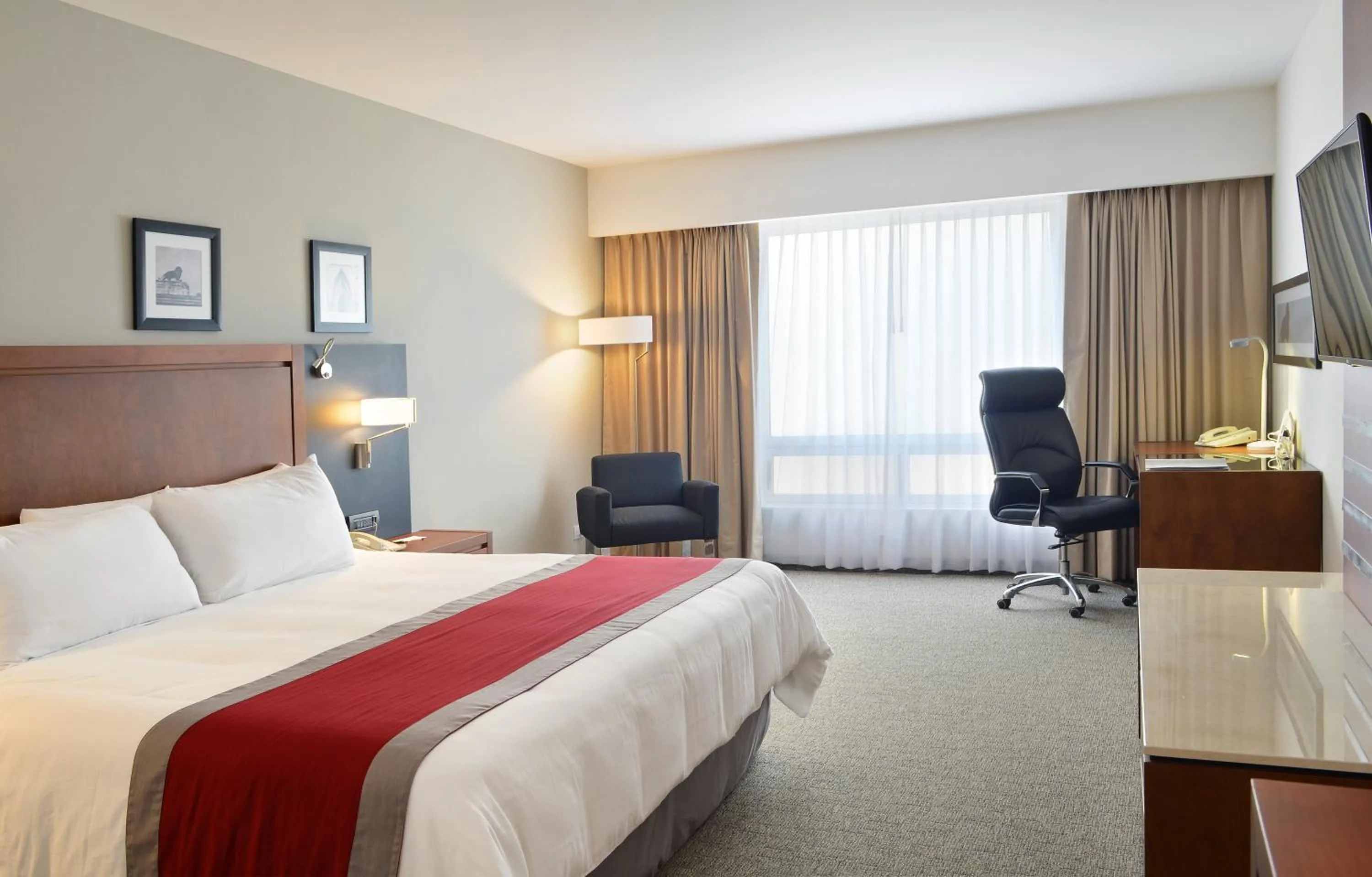 Business King Room in Radisson Poliforum Plaza Hotel Leon