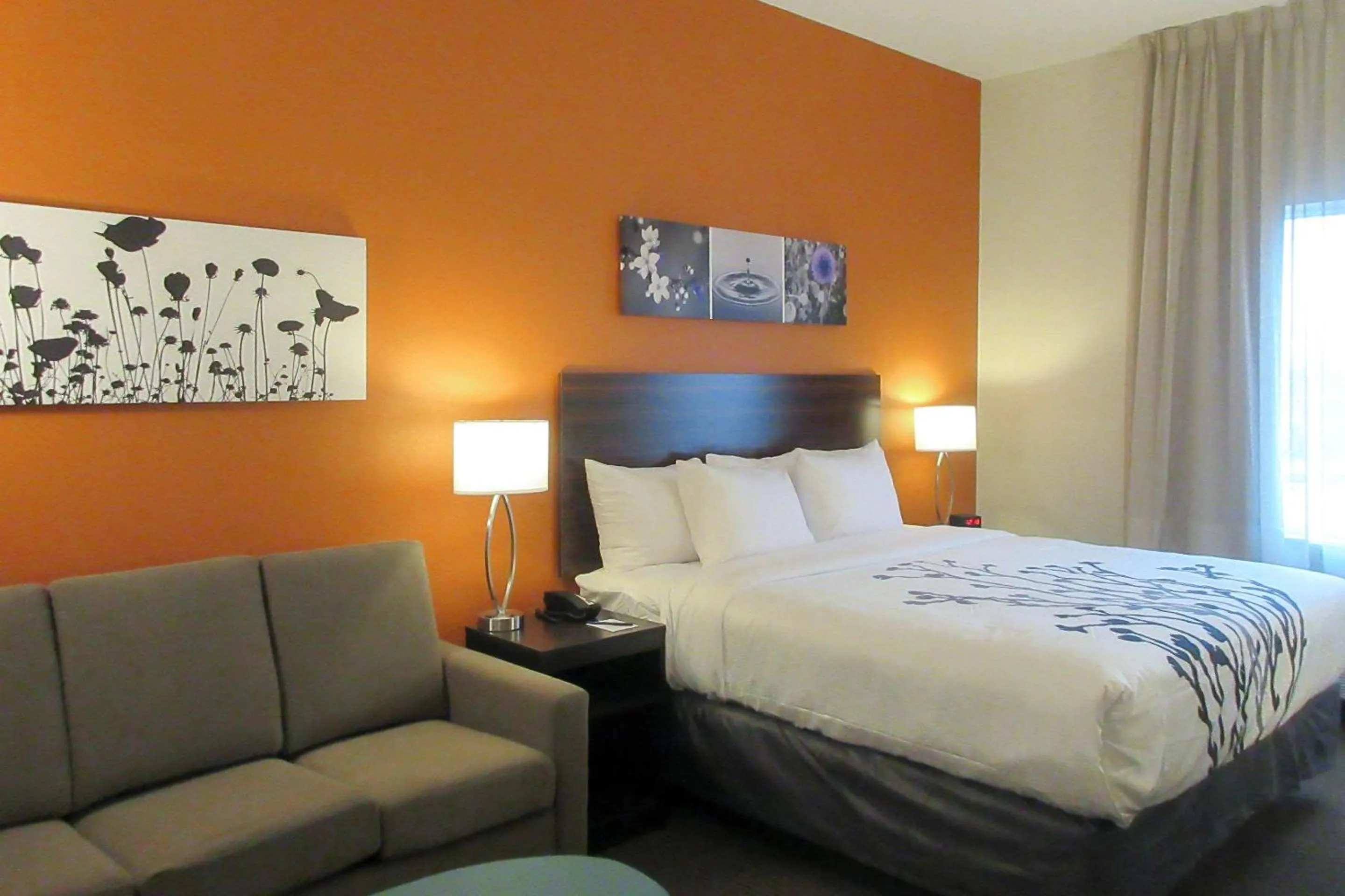 King Suite with Sofa Bed - Non-Smoking in Sleep Inn & Suites Oregon - Madison