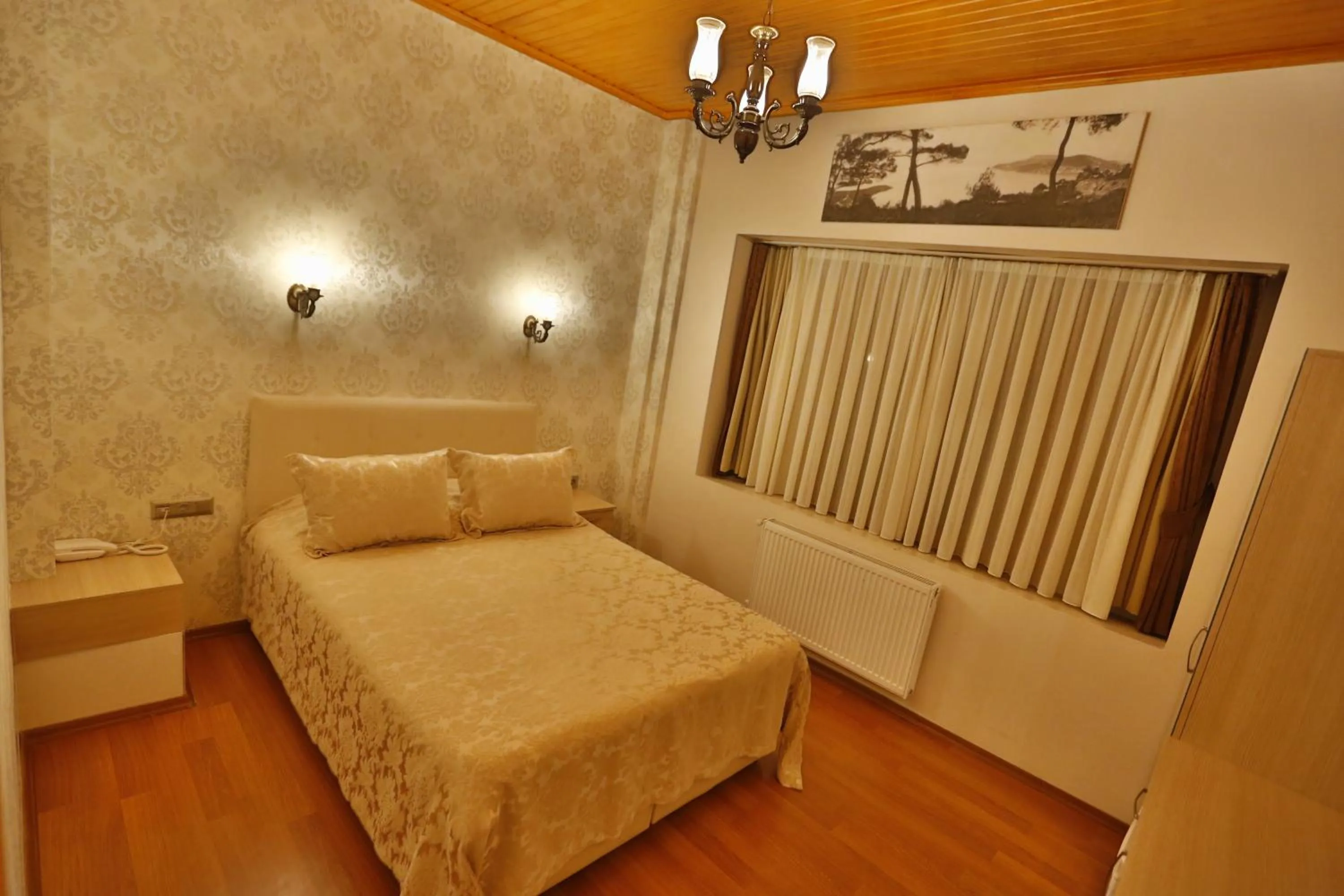 Superior Double Room in Mimoza Butik Otel Buyukada