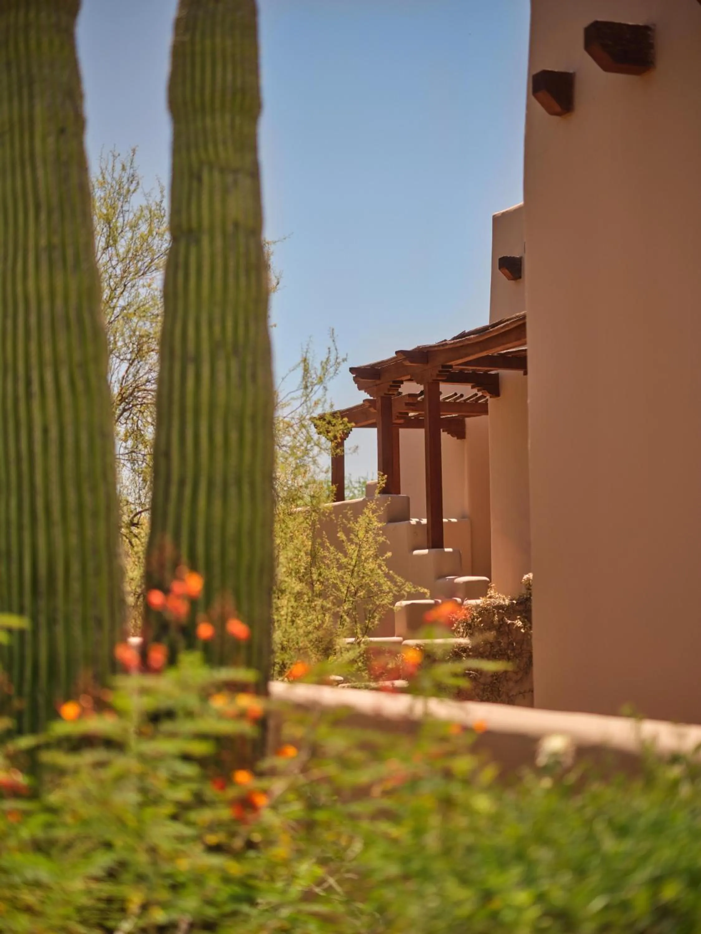 Premier Casita with King Room - Accessible  in Four Seasons Resort Scottsdale at Troon North