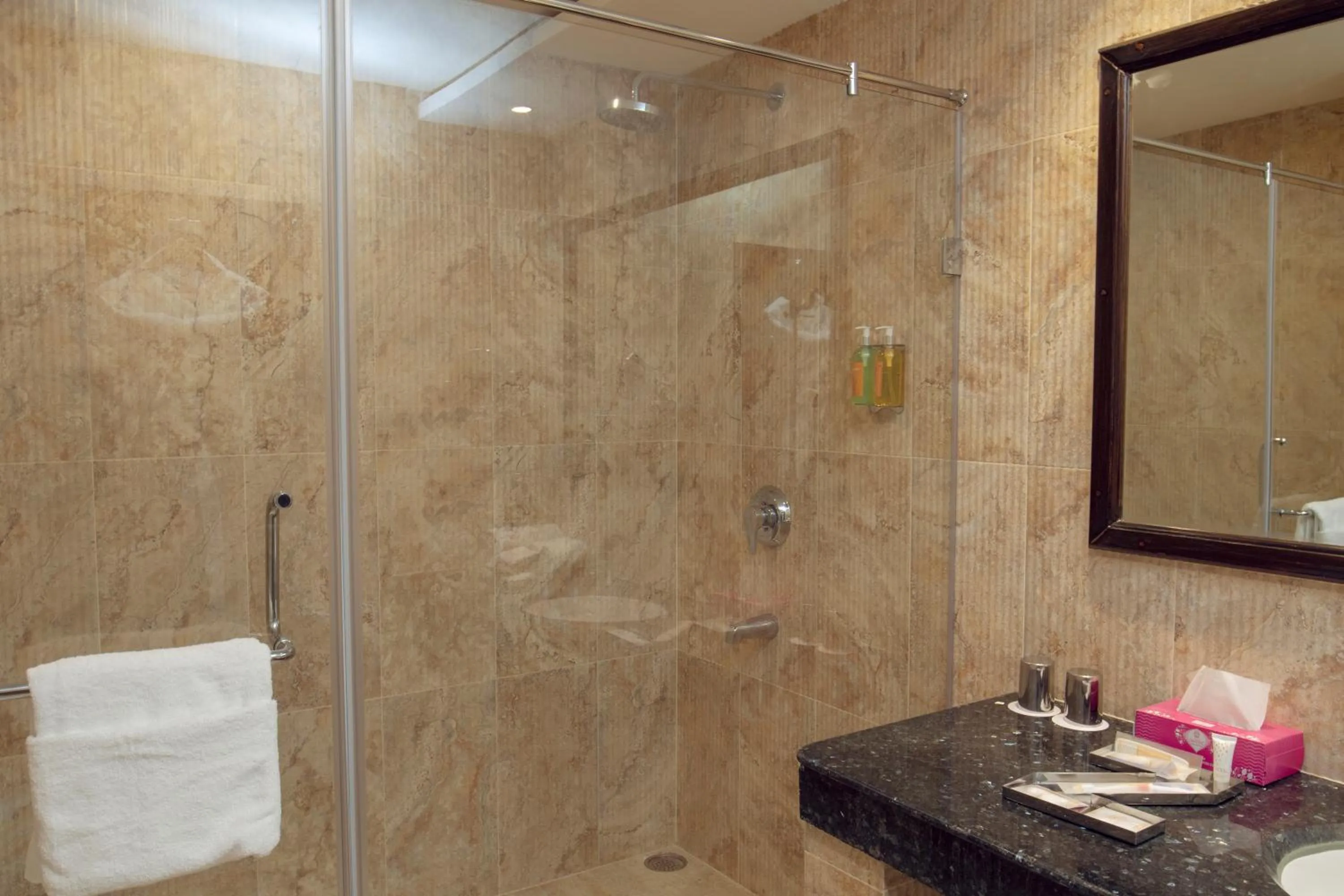 Deluxe Queen Room - single occupancy in Zone by The Park, Jammu