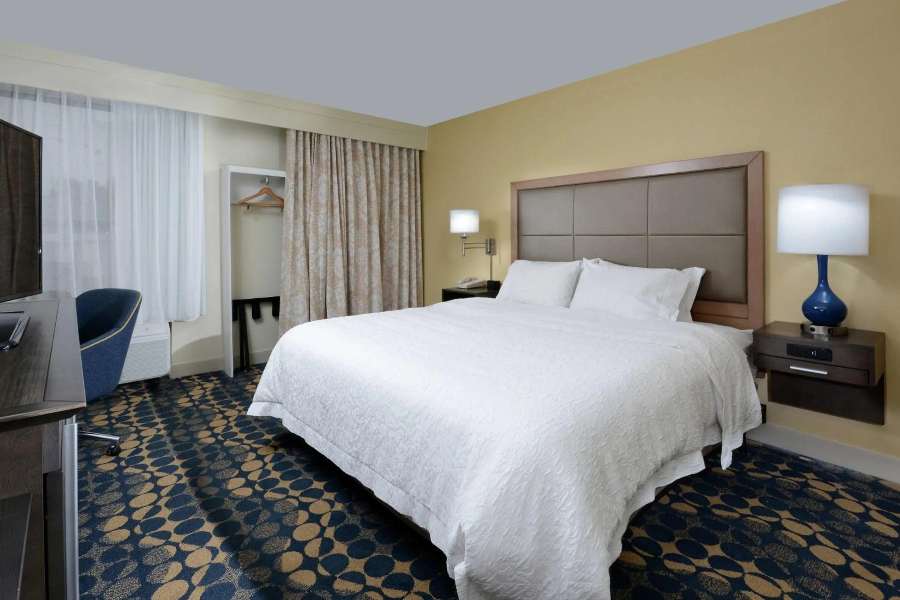 King Room with Accessible Tub - Mobility and Hearing Access/Non-Smoking in Hampton Inn Roxboro