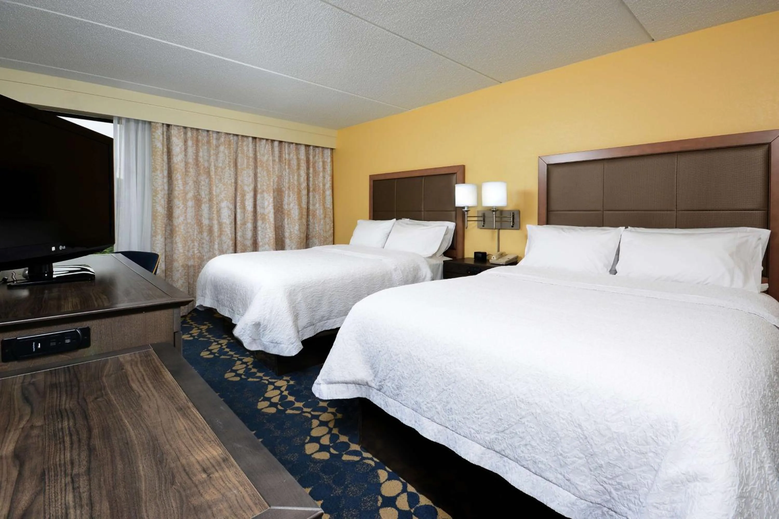 Double Room - Non-Smoking  in Hampton Inn Roxboro