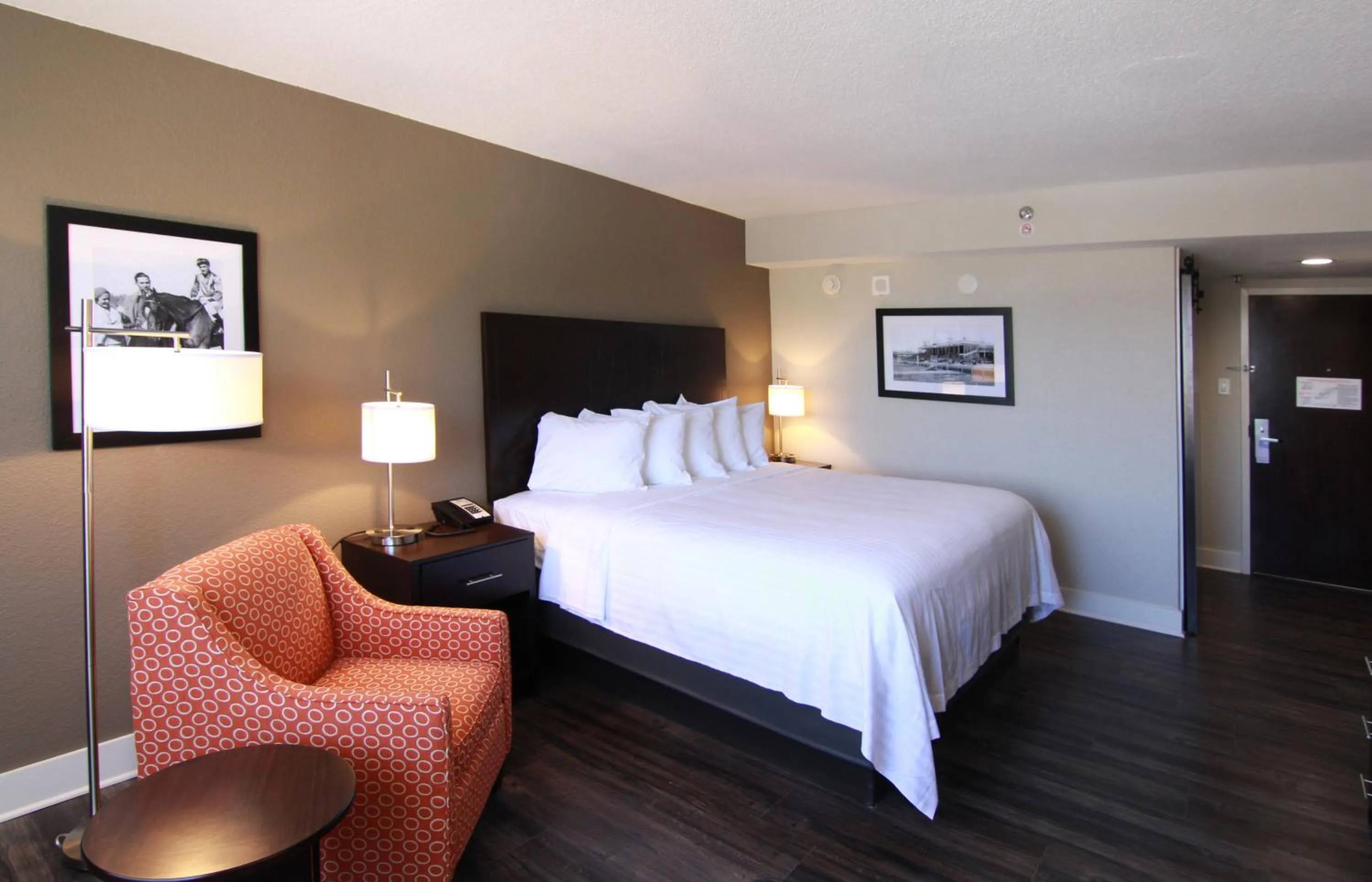 Queen Room - single occupancy - Disability Access in The Hotel Hot Springs