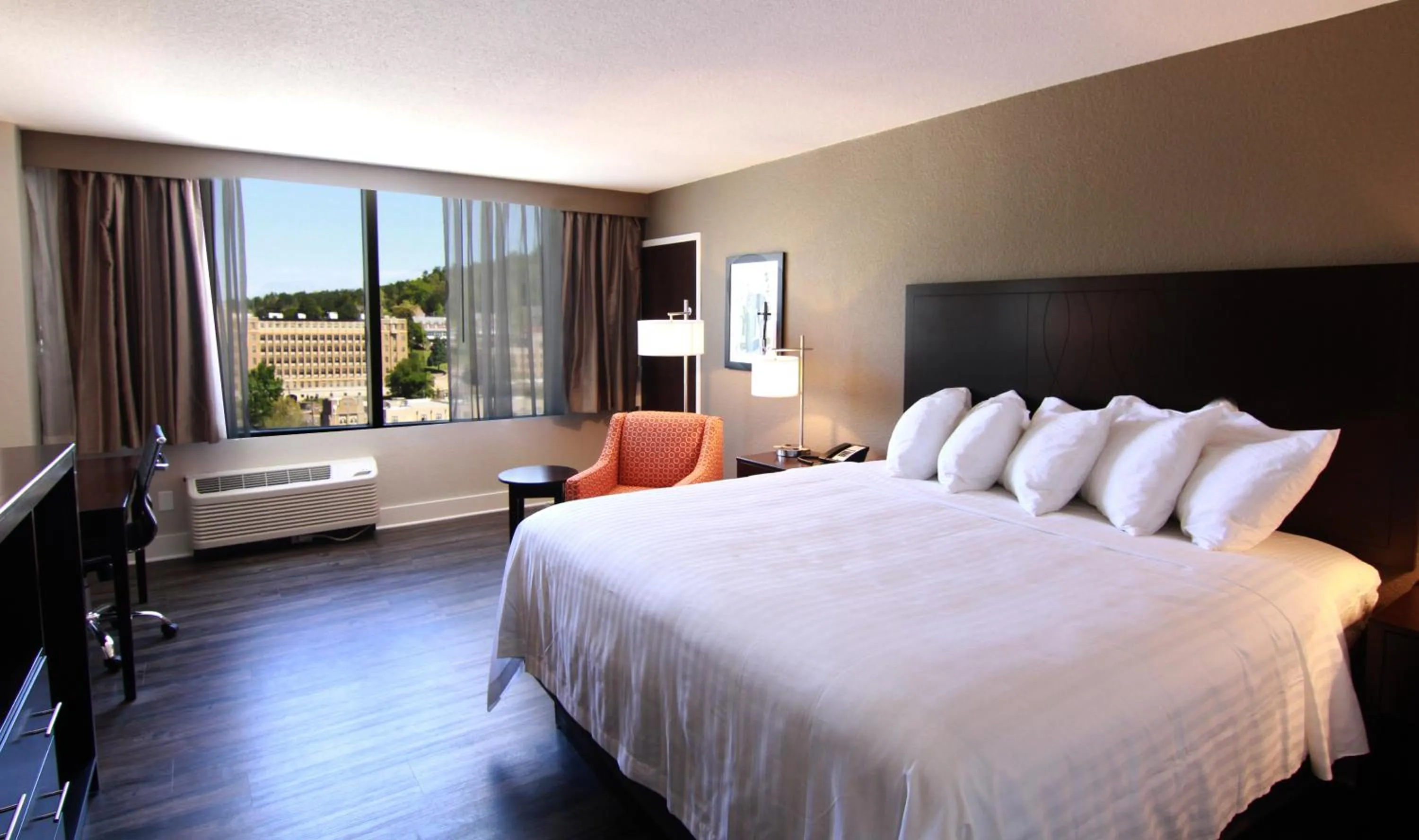 King Room - single occupancy in The Hotel Hot Springs