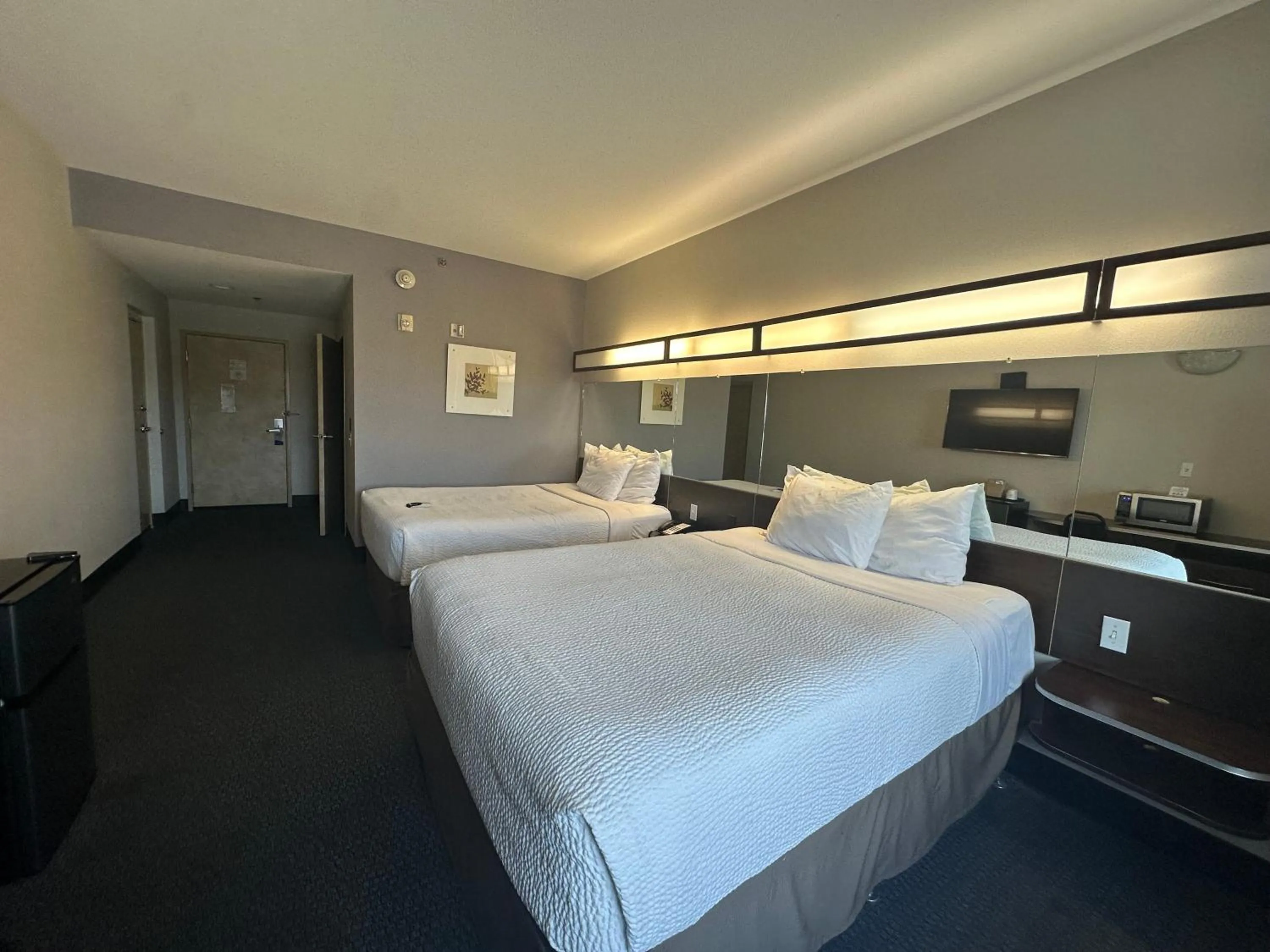 Queen Room with Two Queen Beds - Mobility Access/Non-Smoking in Microtel Inn & Suites by Wyndham Quincy Downtown - River Area