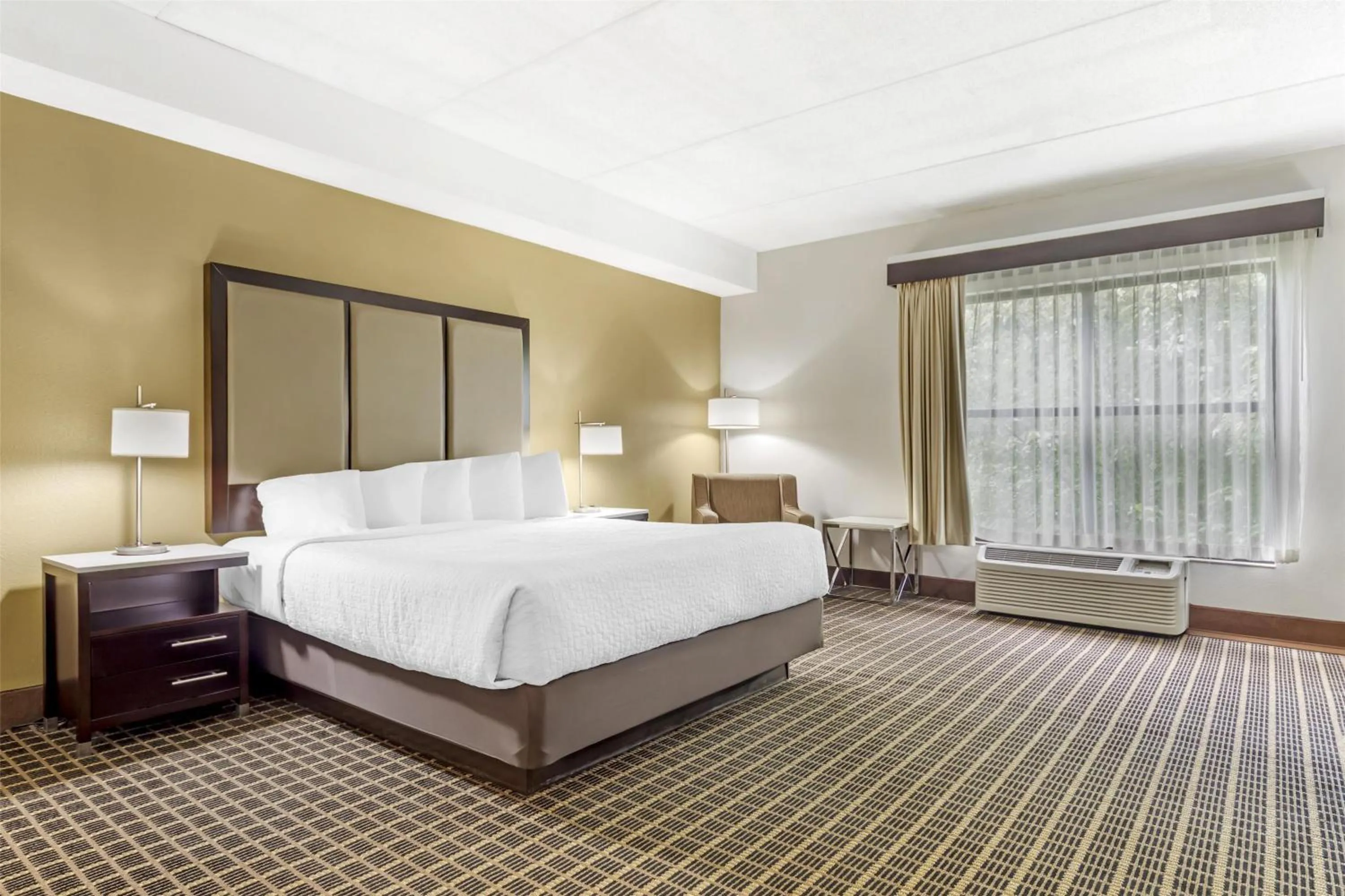 Deluxe King Room - Non Smoking in Best Western Chesapeake Bay North Inn