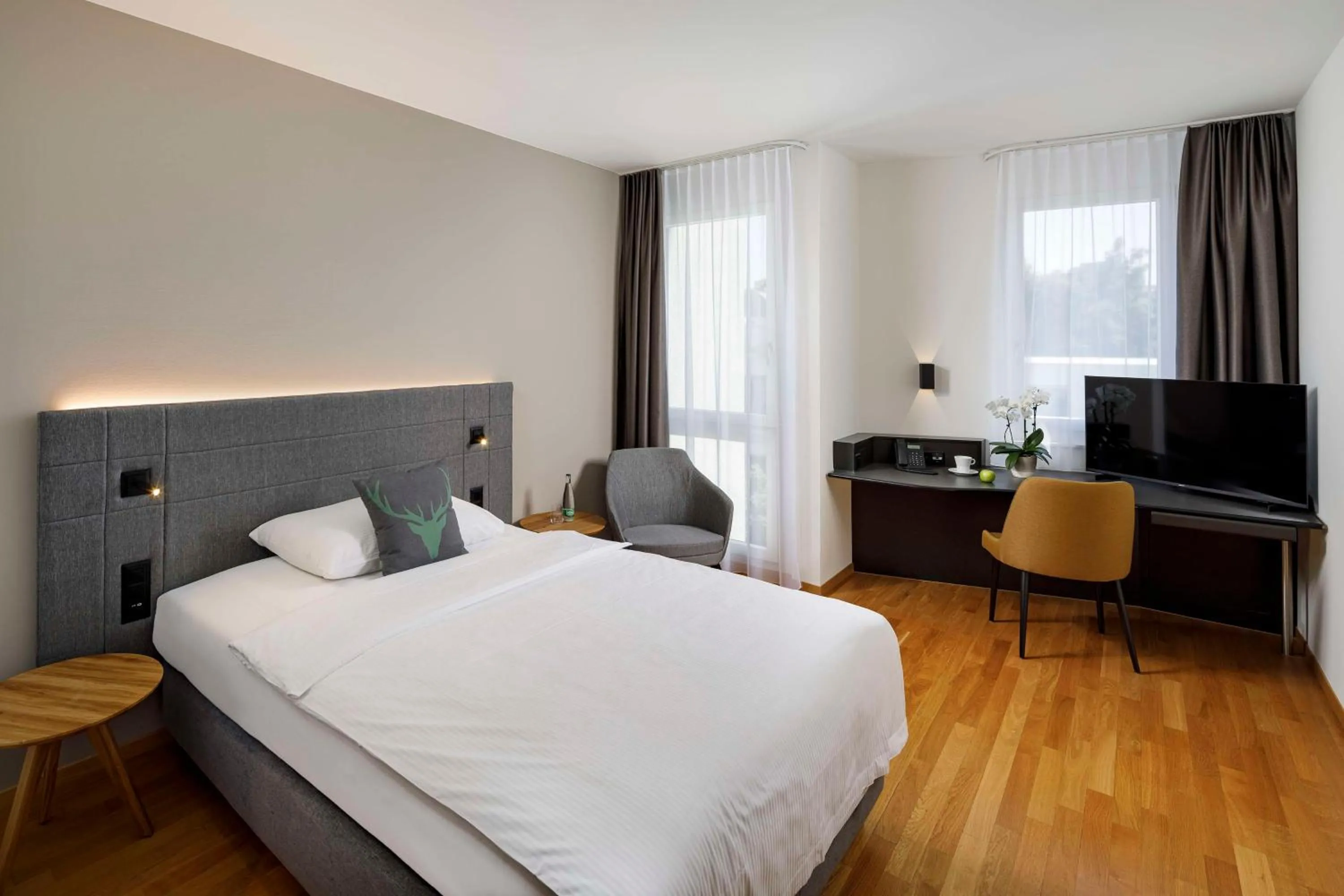 Comfort Single Room in Hotel Allegra Lodge