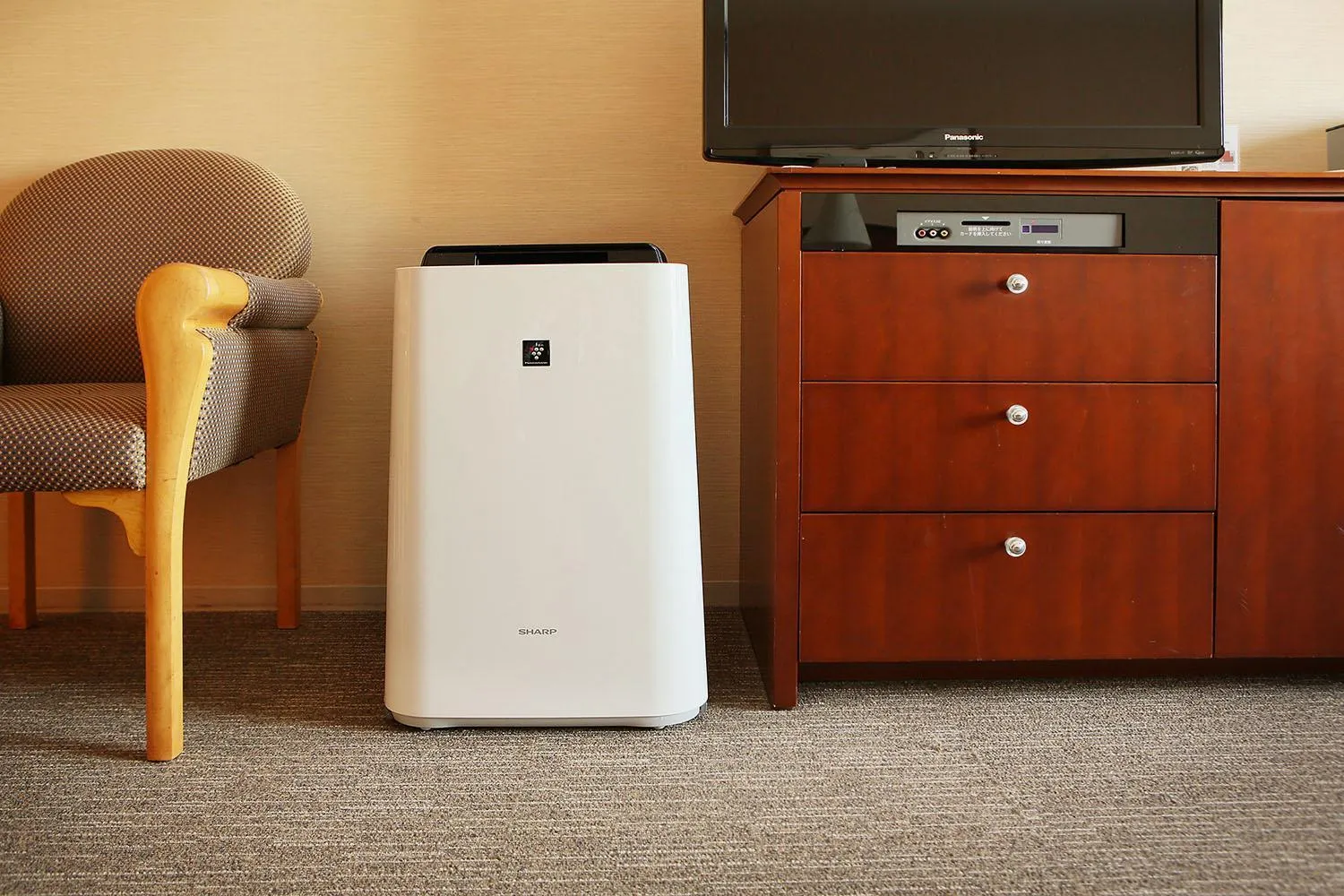 Double Room - Non-Smoking  in Rembrandt Hotel Ebina