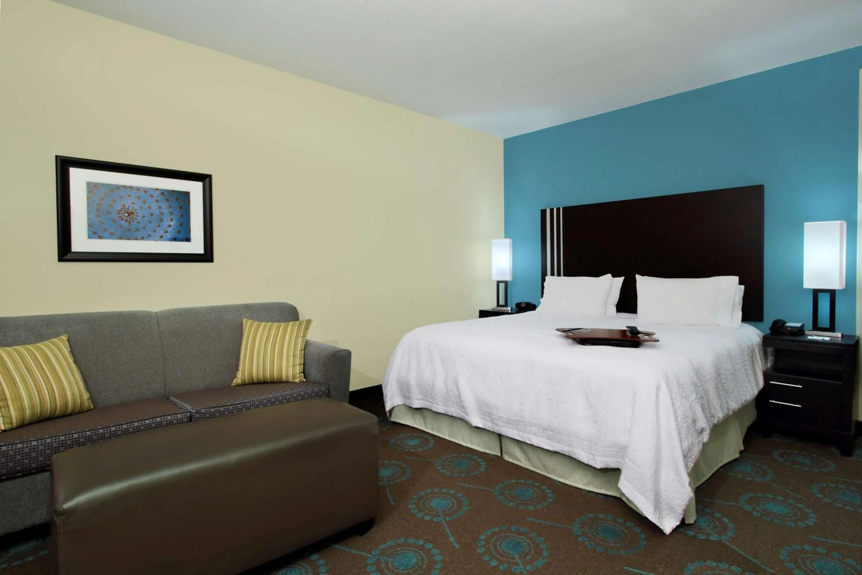 King Room with Accessible Tub - Mobility and Hearing Access/Non-Smoking in Hampton Inn Beeville