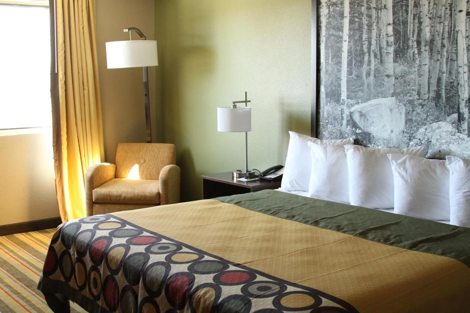 King Room - Mobility Access/Non-Smoking in Super 8 by Wyndham Montrose