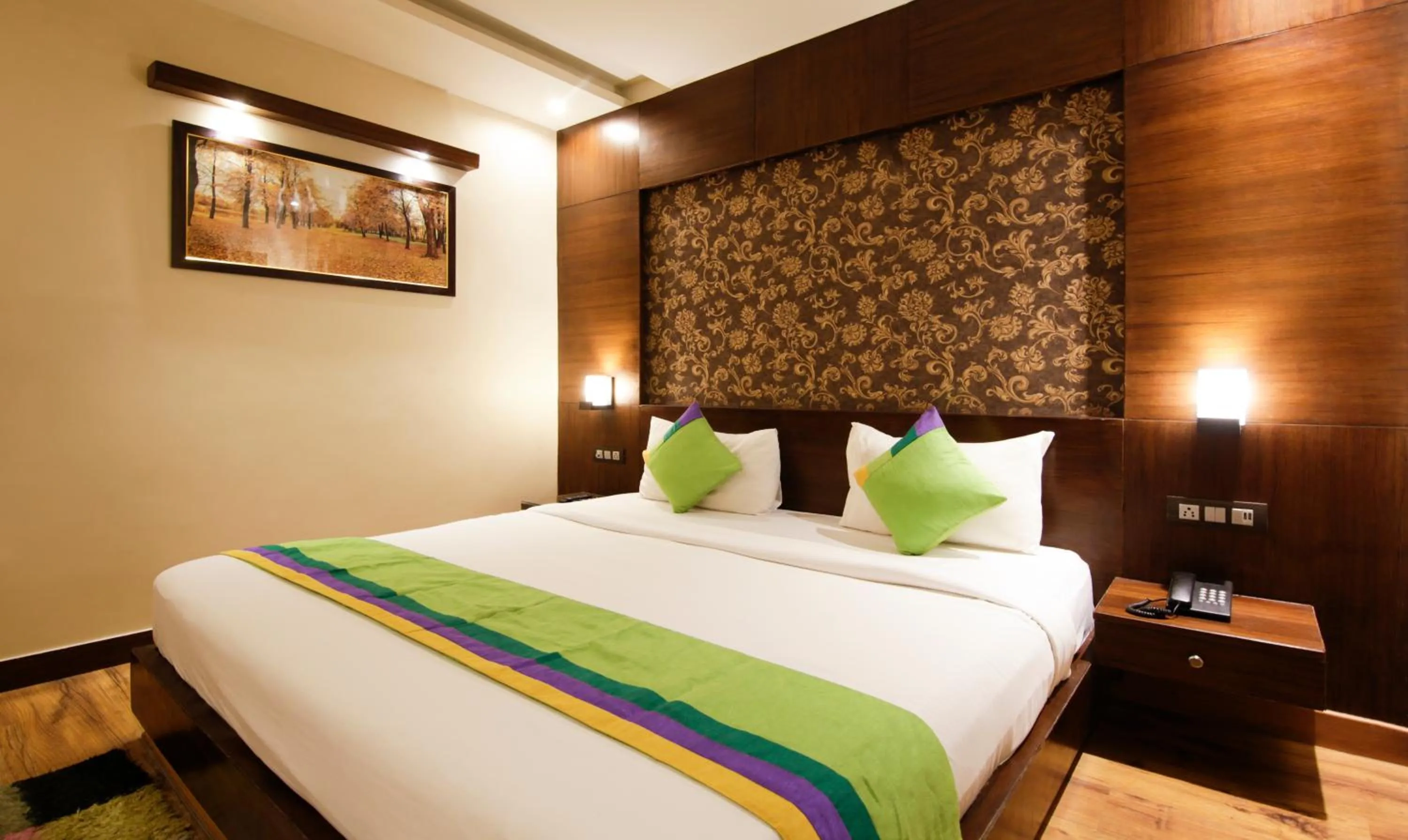 Standard Double Room - single occupancy in Treebo Punjabi Nature Residency, Near Faridabad Railway Station