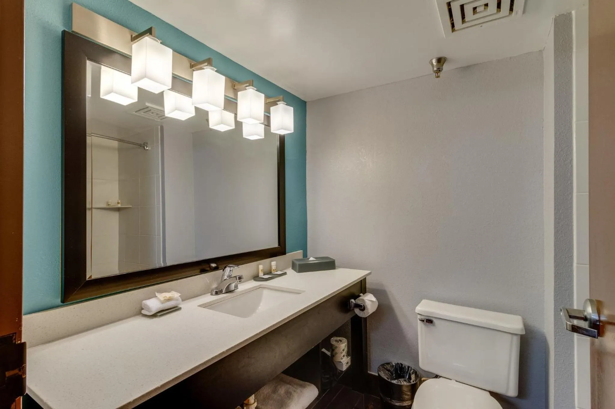 King Room with Sofa Bed - Disability Access - Non-Smoking in La Quinta by Wyndham Sevierville / Kodak